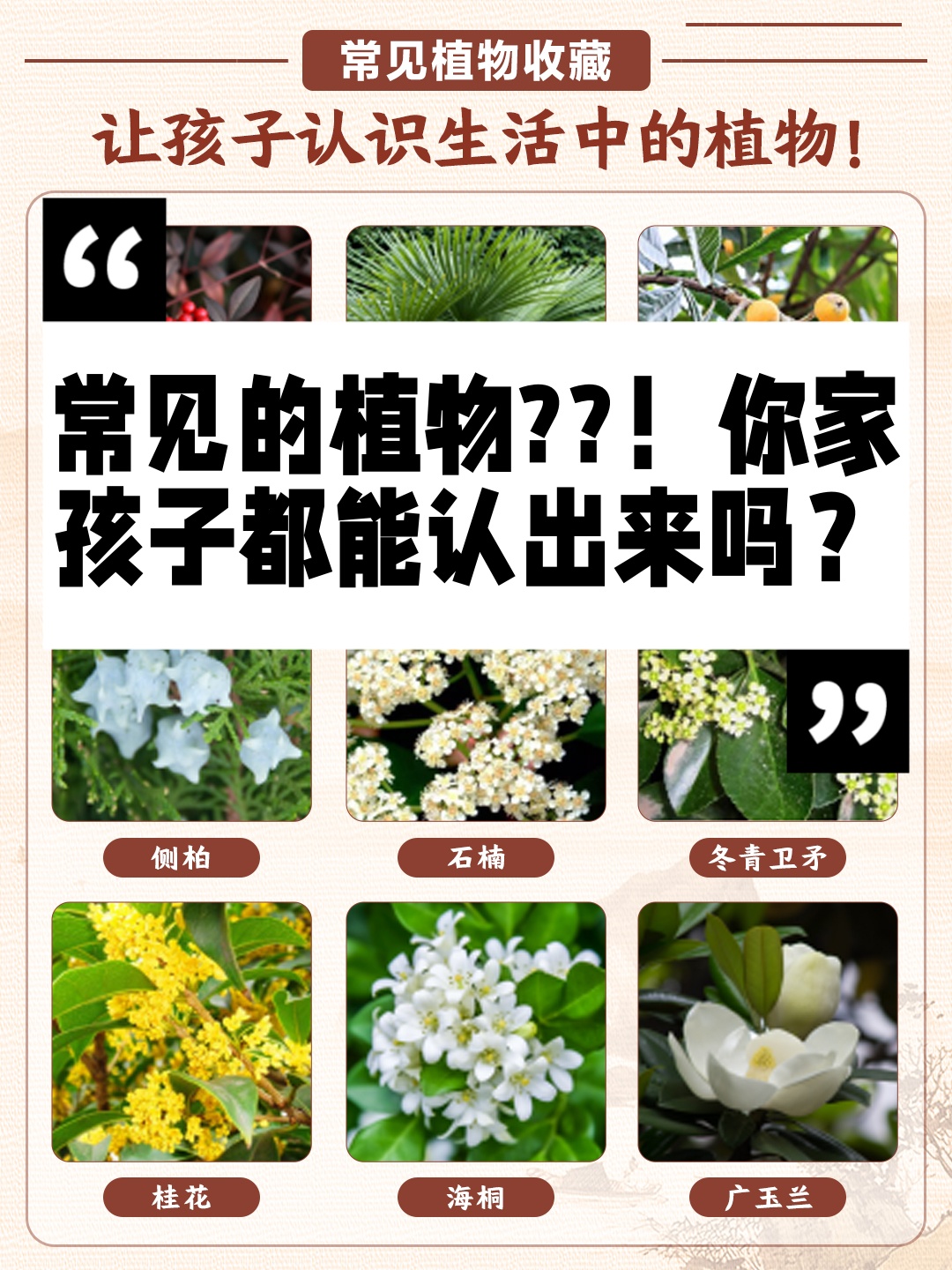 常见的植物?你家孩子都能认出来吗?