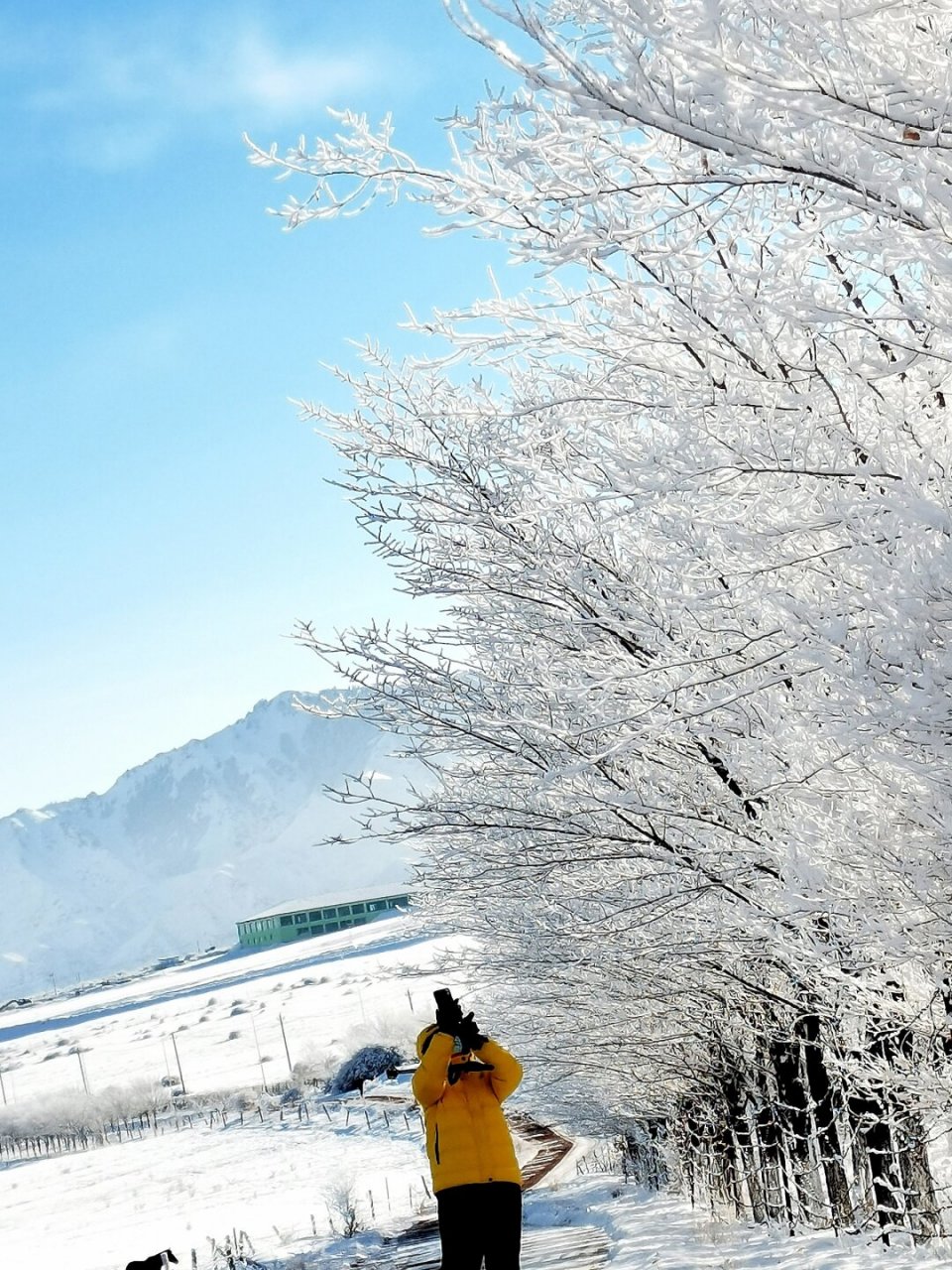 乌鲁木齐南山雪景图片