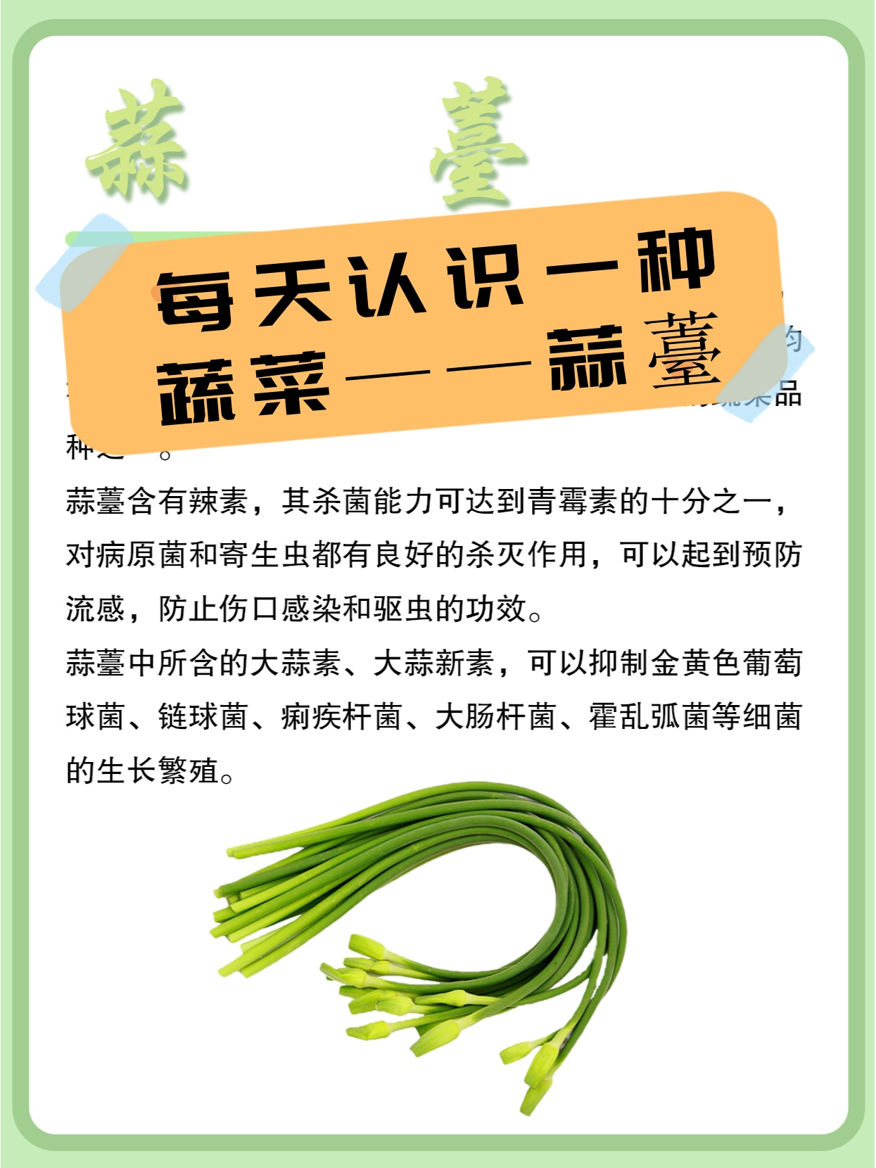 蒜苔:一道营养丰富的美味佳肴