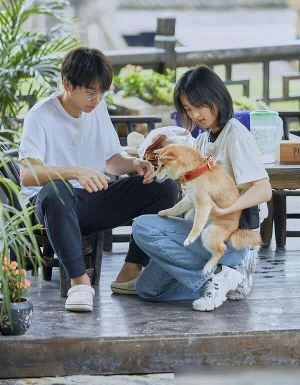 张子枫与焉栩嘉分手?