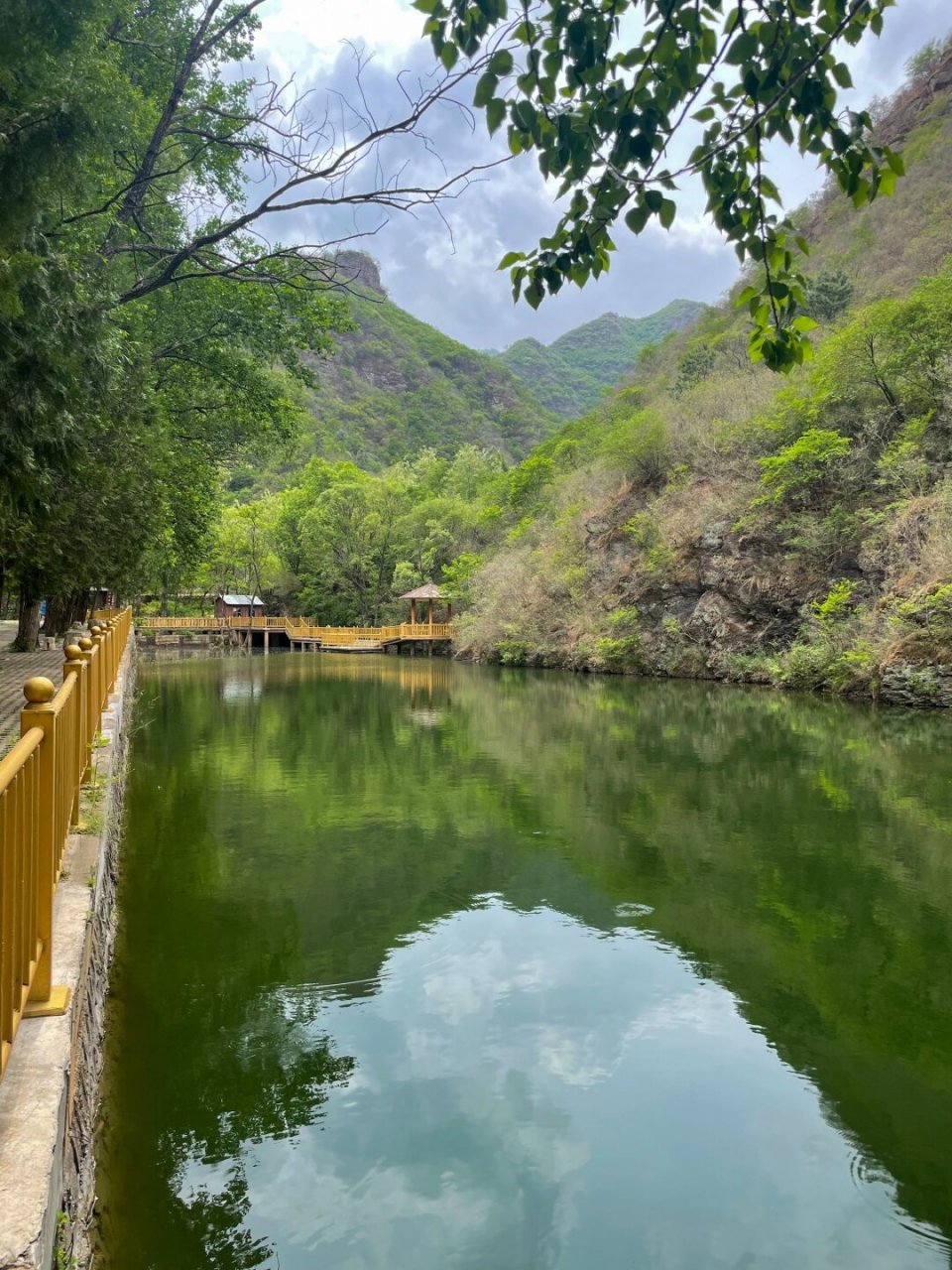 在北京门头沟发现一片安静的小森林  在门头沟法城村,我曾多次路过,却