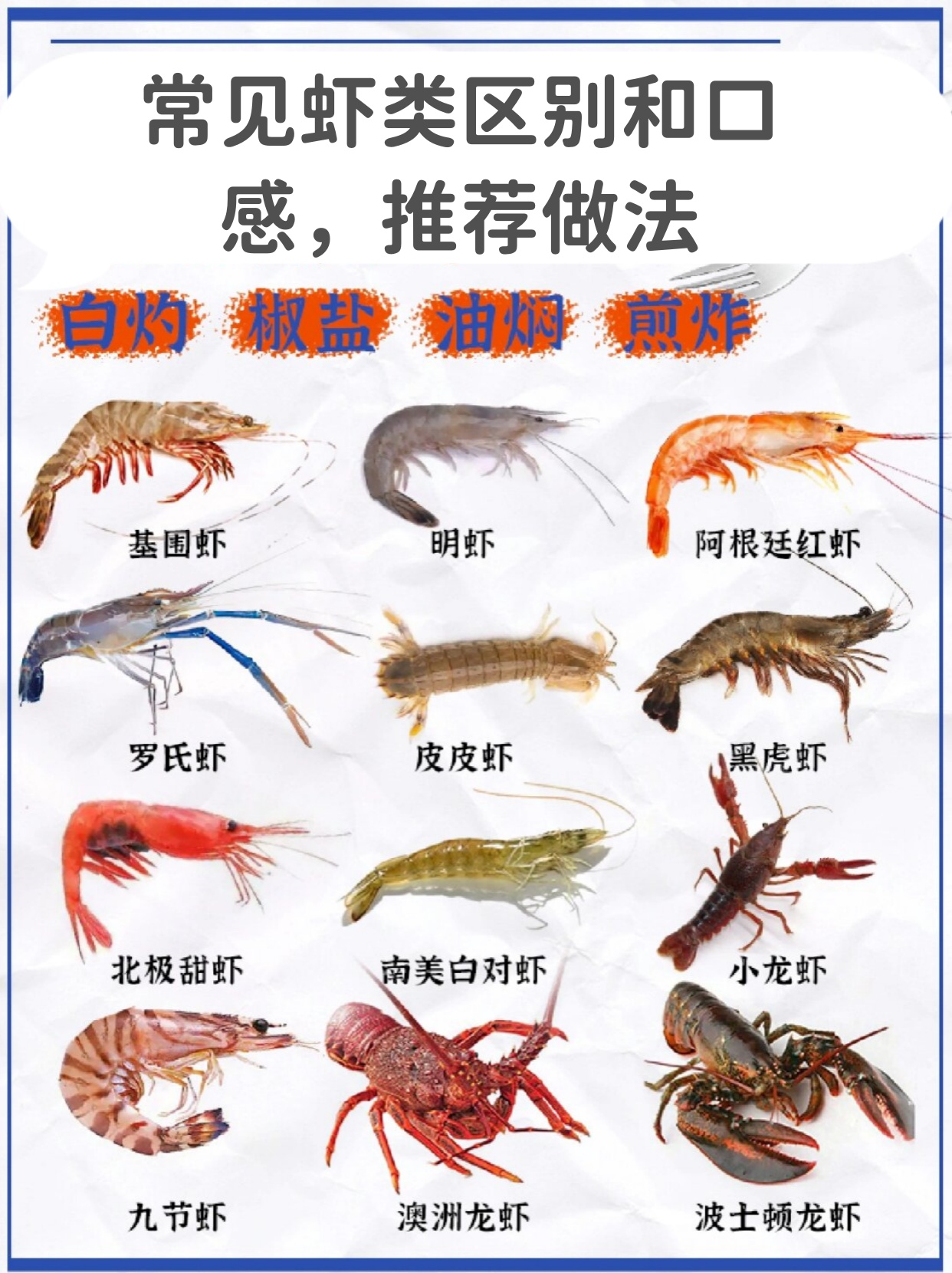 常见虾类区别和口感,推荐做法