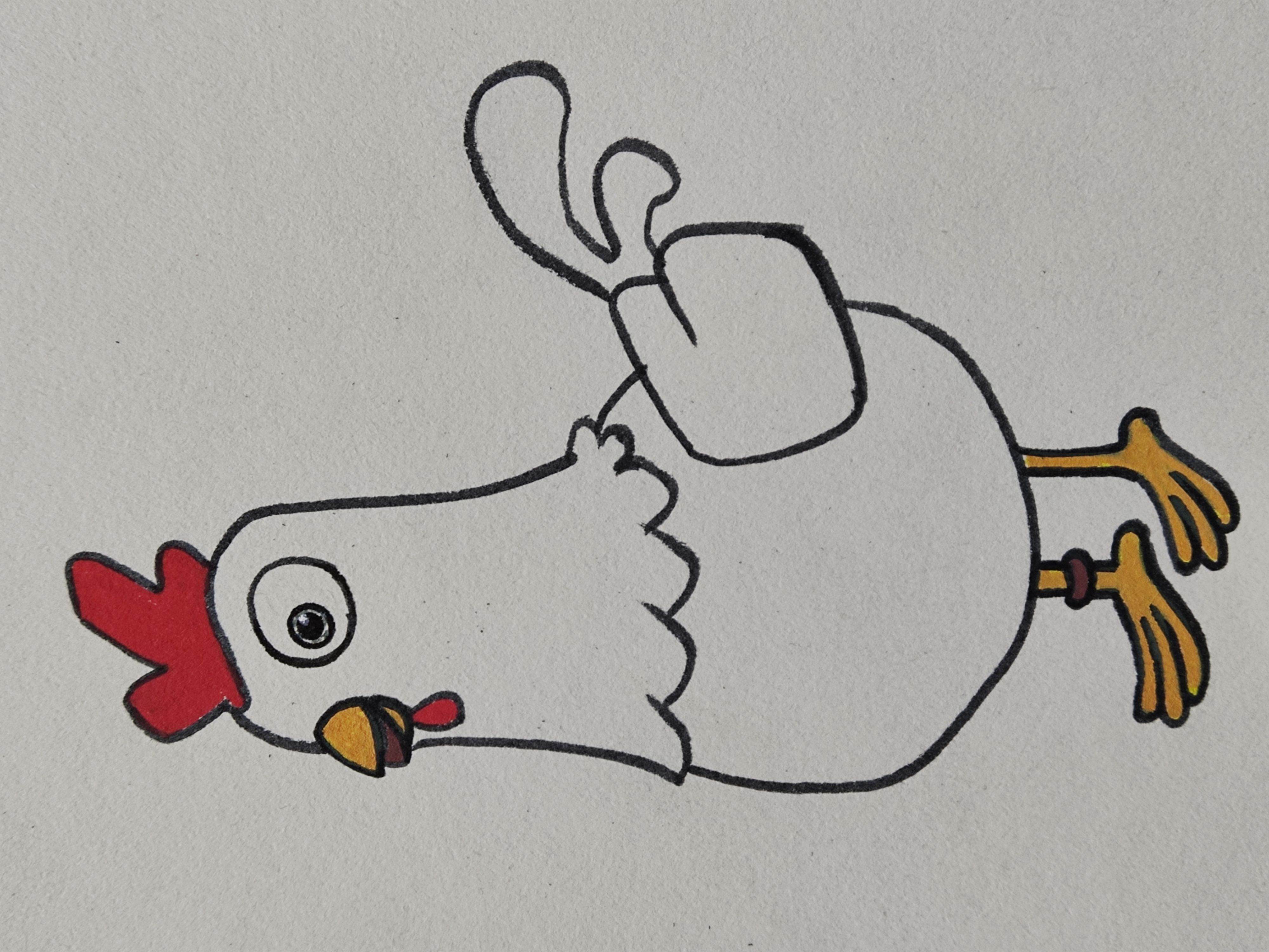 小鸡简笔画教程,教大家画一只漂亮的卡通鸡