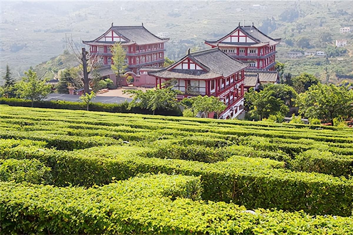 成都东部古墓地:探秘永恒之美