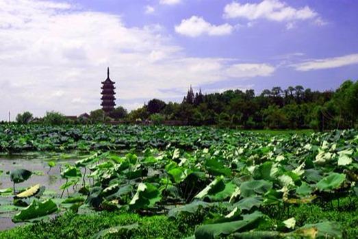 金坛顾龙山公园图片