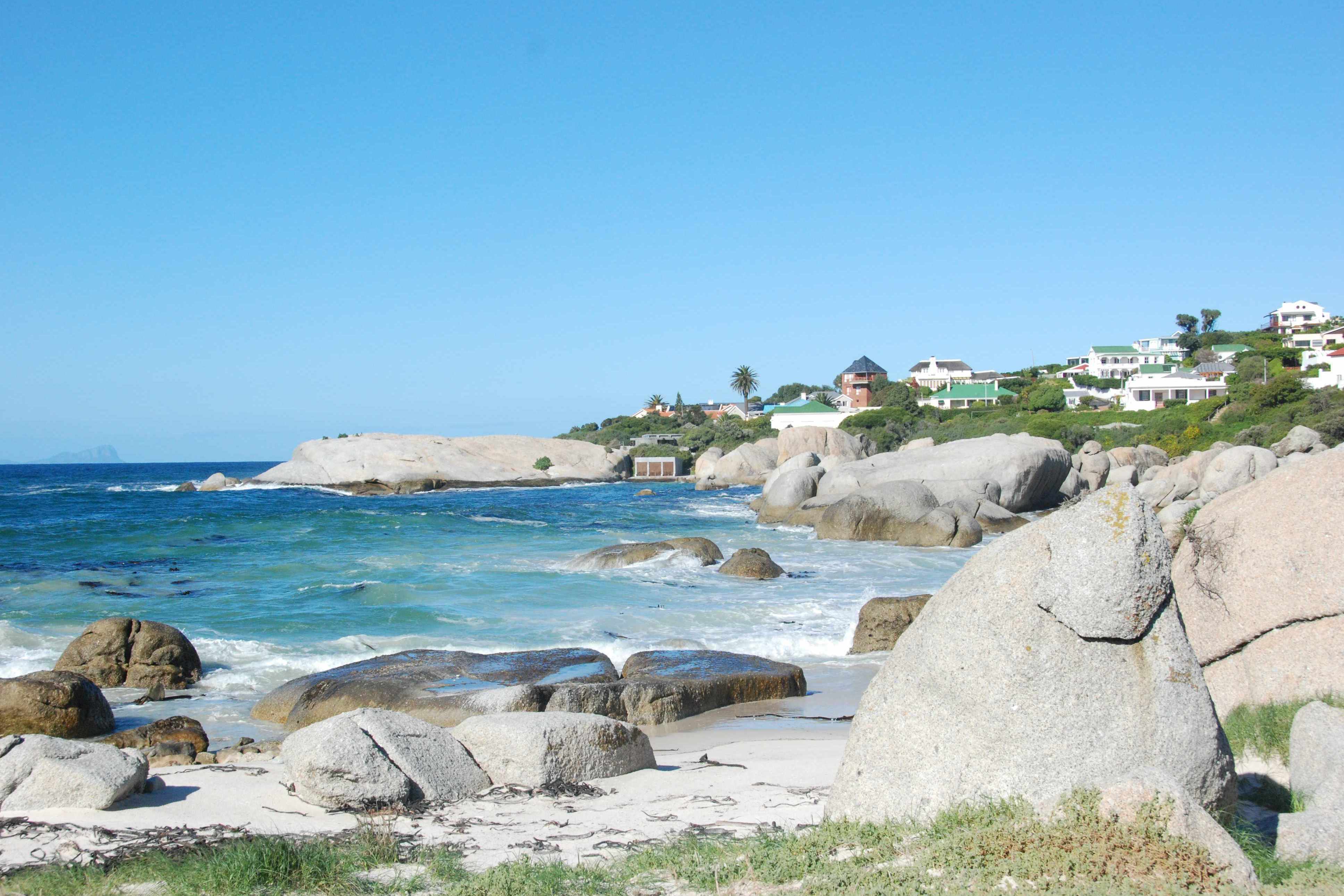 好望角是地球上最独特的生态系统之一,拥有丰富的生物多样性和生态