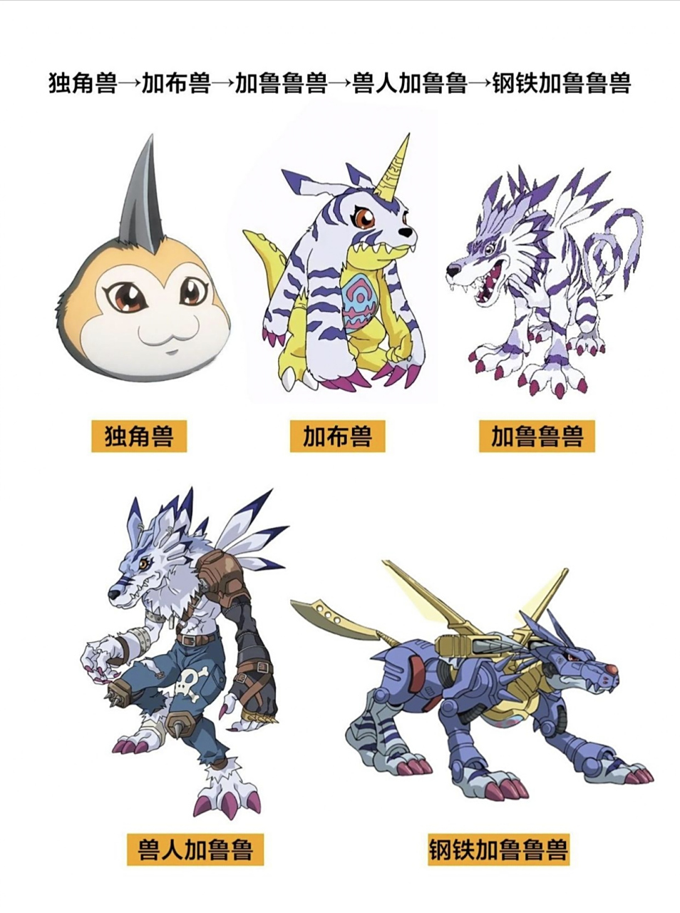 亚古兽的进化路线还好,可加布兽的进化路线是怎么回事?