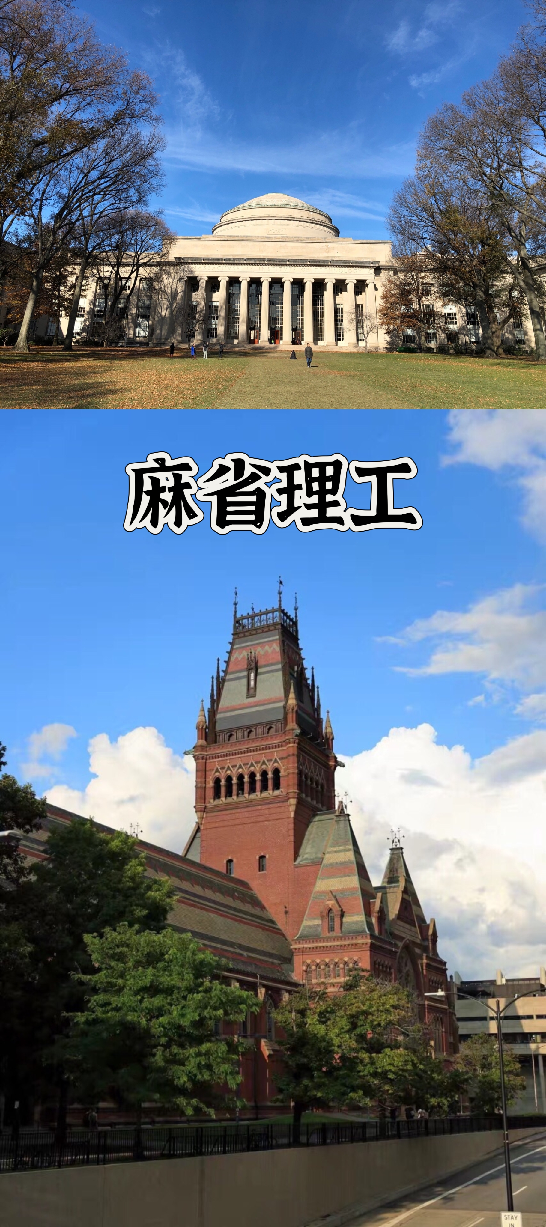 美国有麻省理工,我们有麻神里宫,谁怕谁?