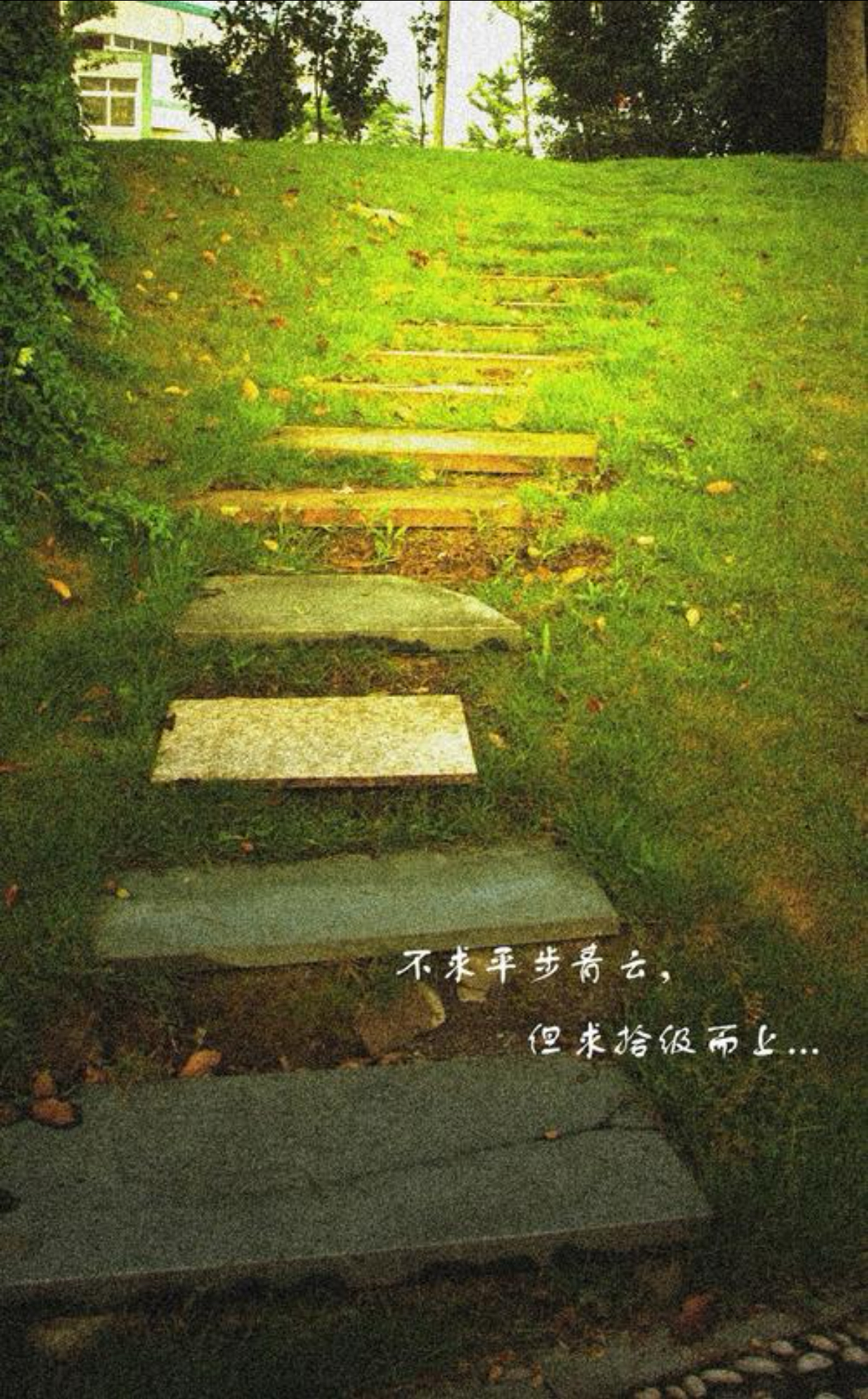 《人生路,不回头》 人生的道路就像一条单向的旅程,没有回头的机会.