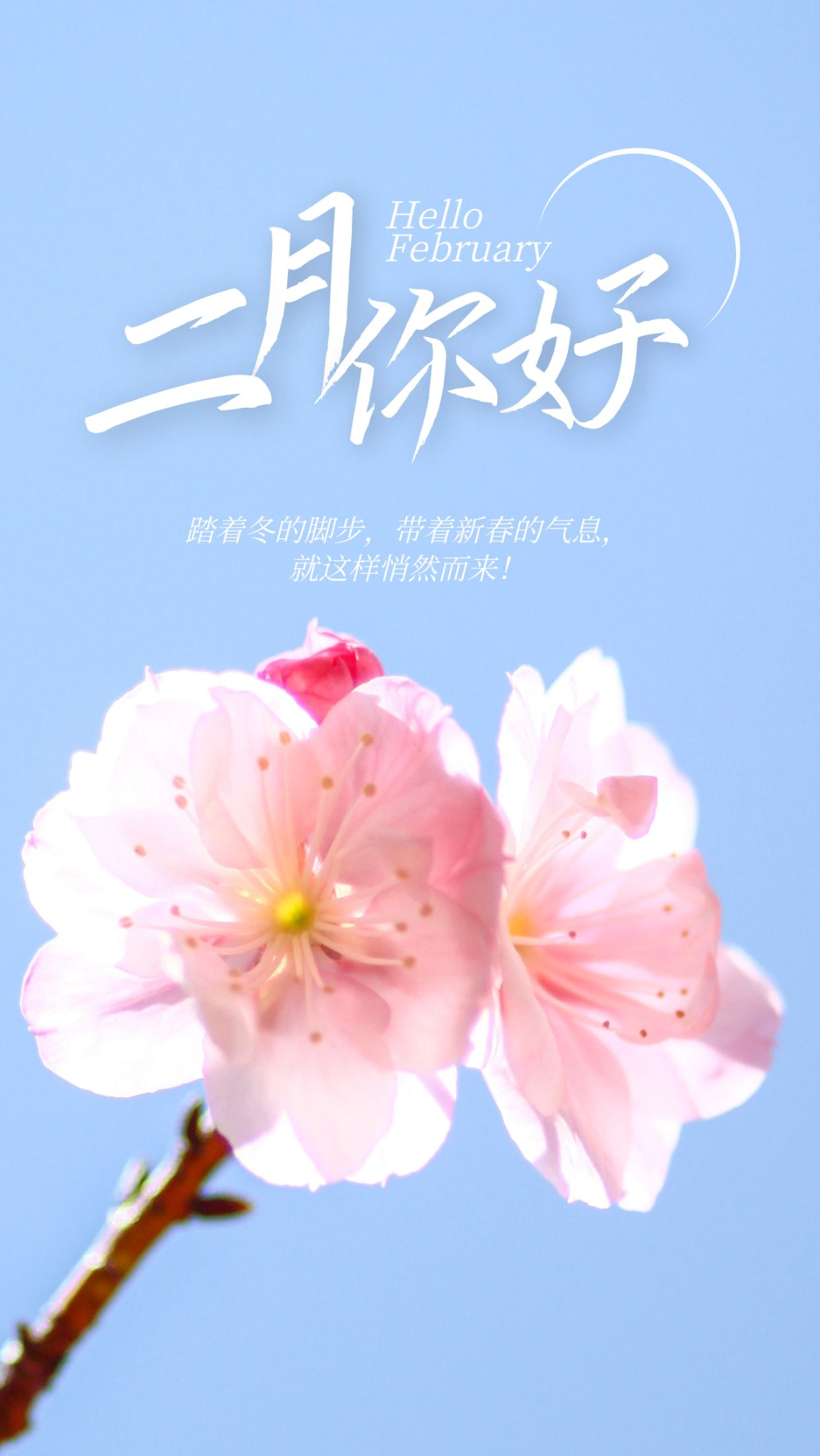 2月你好海报文案句子,二月正能量早安问候语录图片