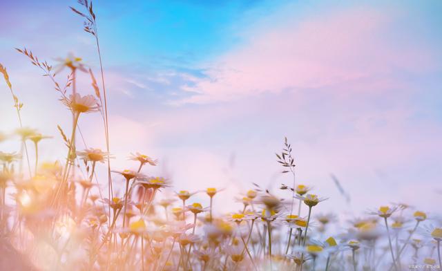 你已经是个大人了,别再因为一点感情问题就失魂落魄,真实了