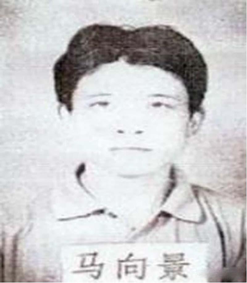 犯下滔天罪行的任晓峰和马向景决定各自逃难,他们觉得如果两个人待在