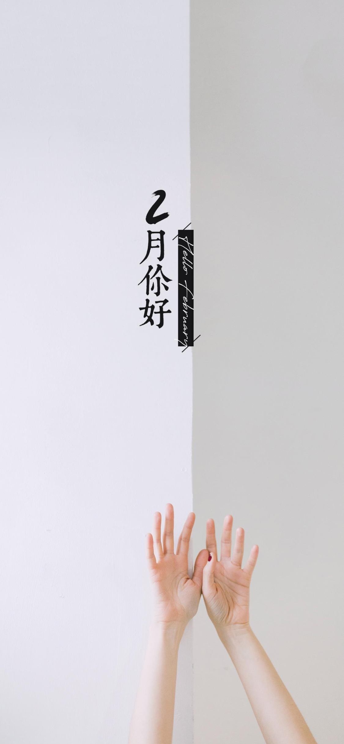 2月你好海报文案句子,二月正能量早安问候语录图片