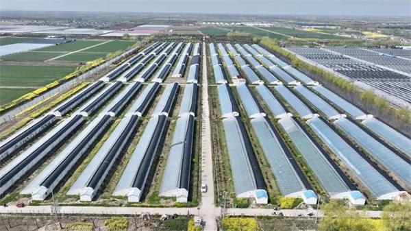 牢记嘱托61勇毅前行 盐城盐都台创园:打造和美乡村"示范样板"