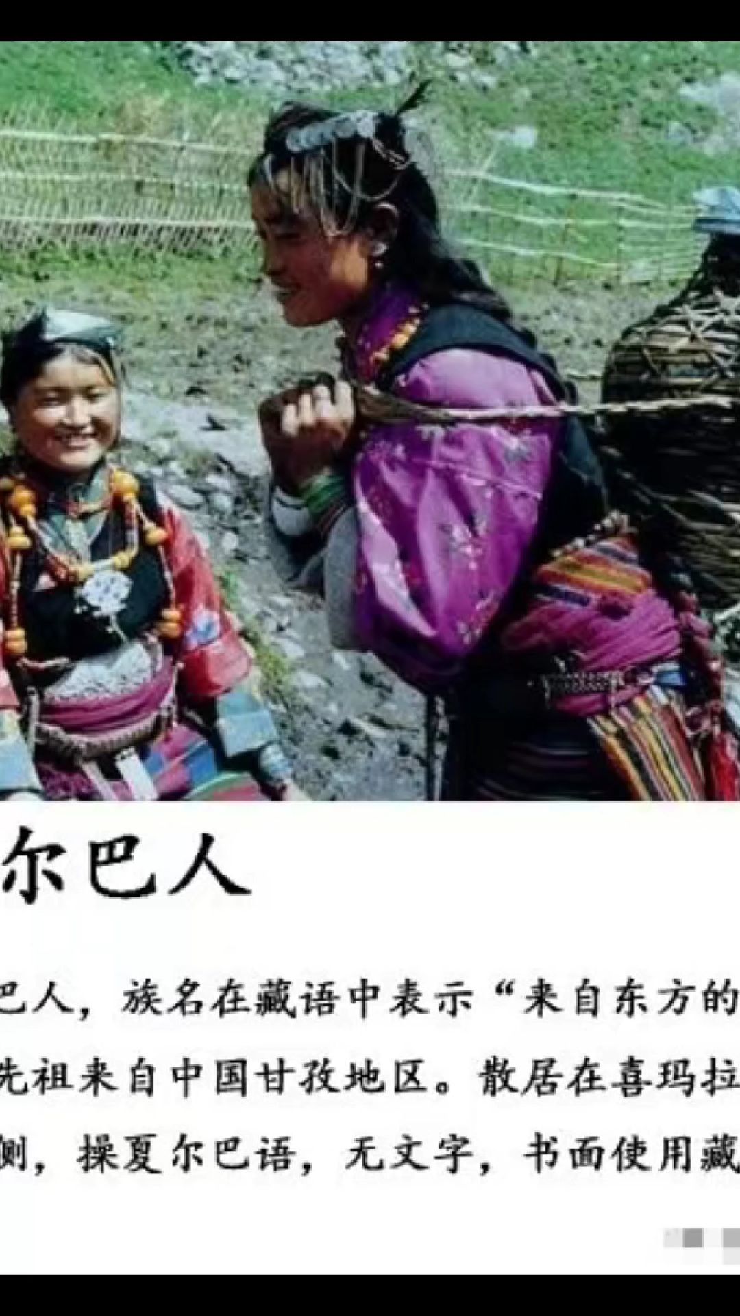 中国未识别的少数人群民族16夏尔巴人