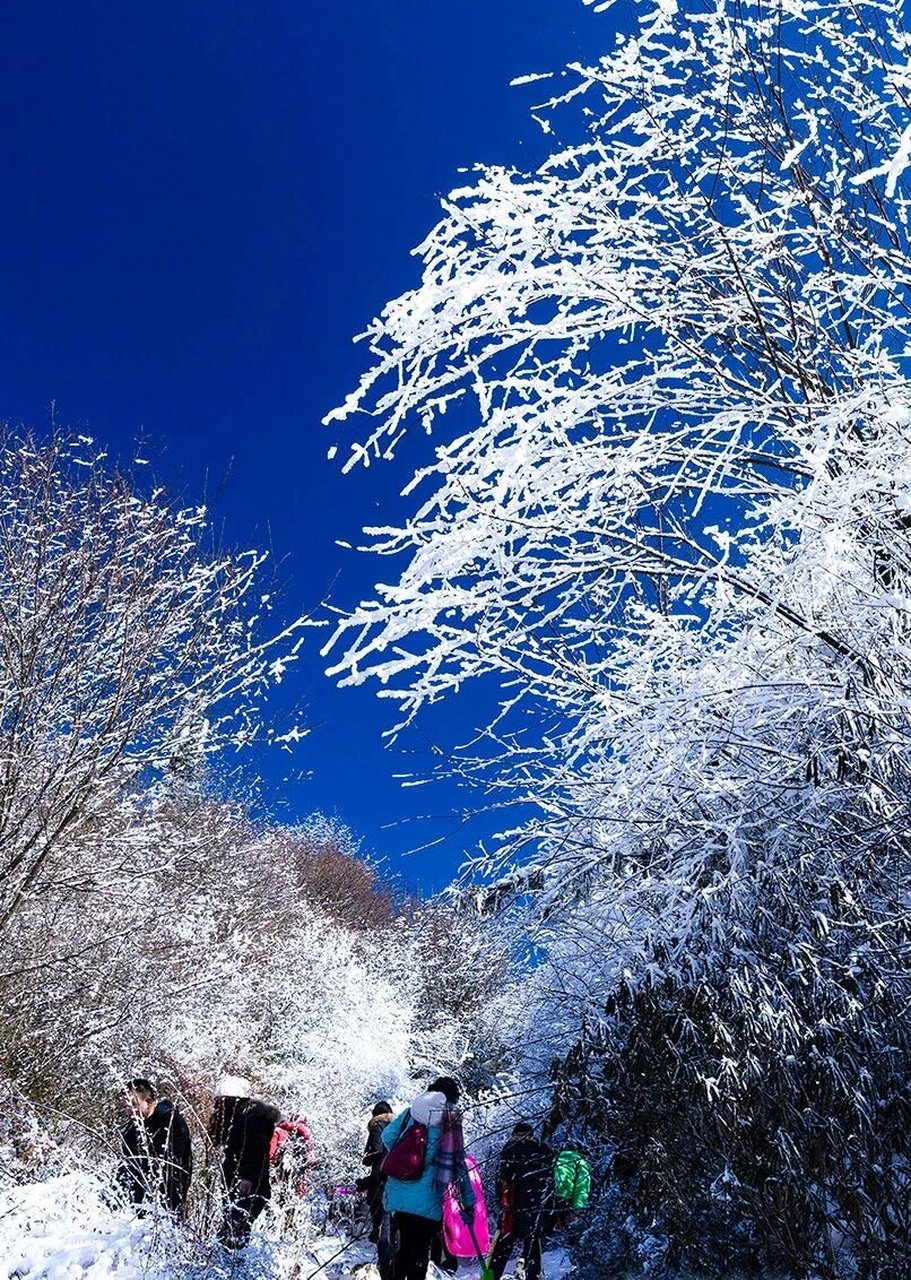 茂县九顶山风景区图片