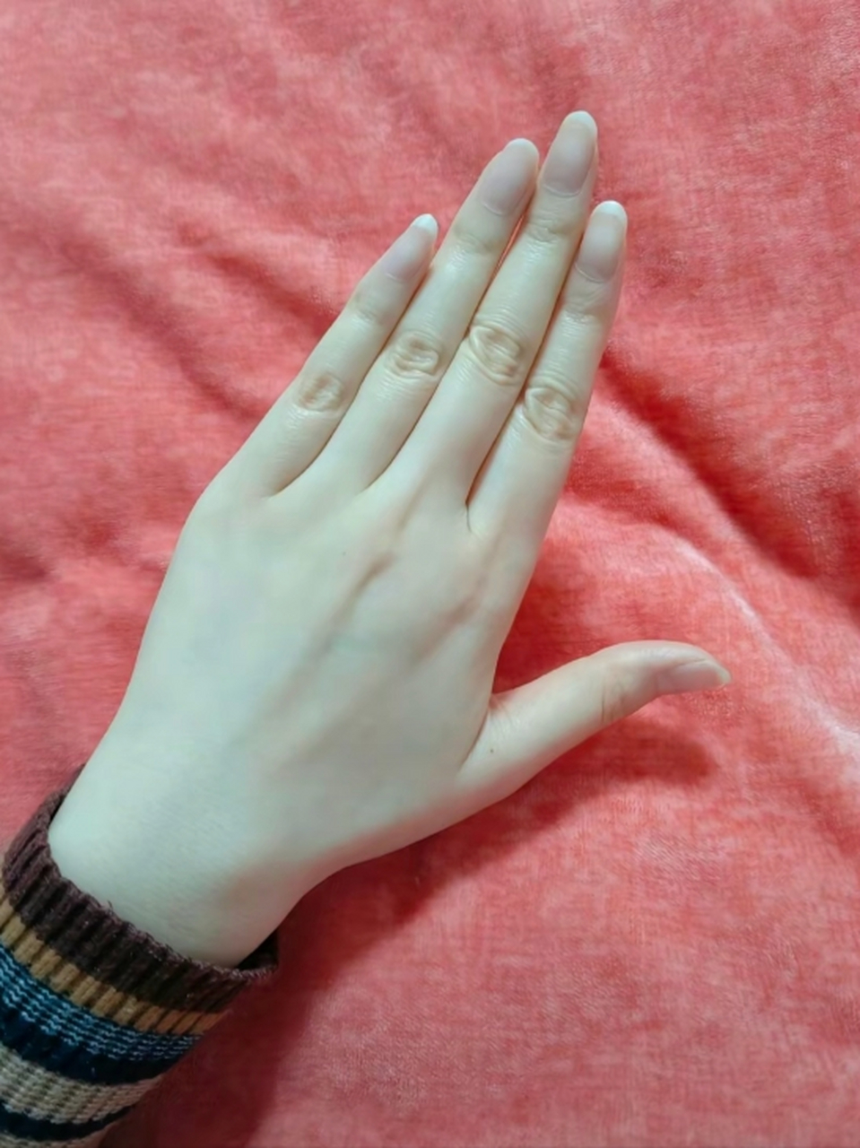 自认为这是女人最好看的手