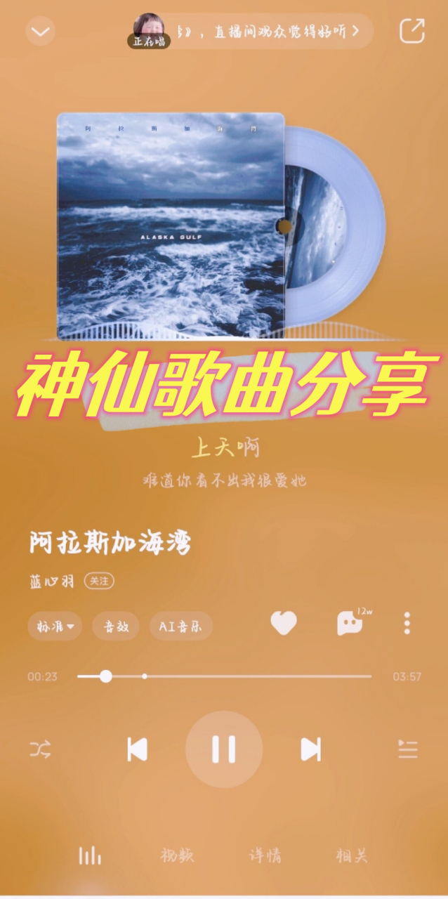 阿拉斯加海湾歌曲图片