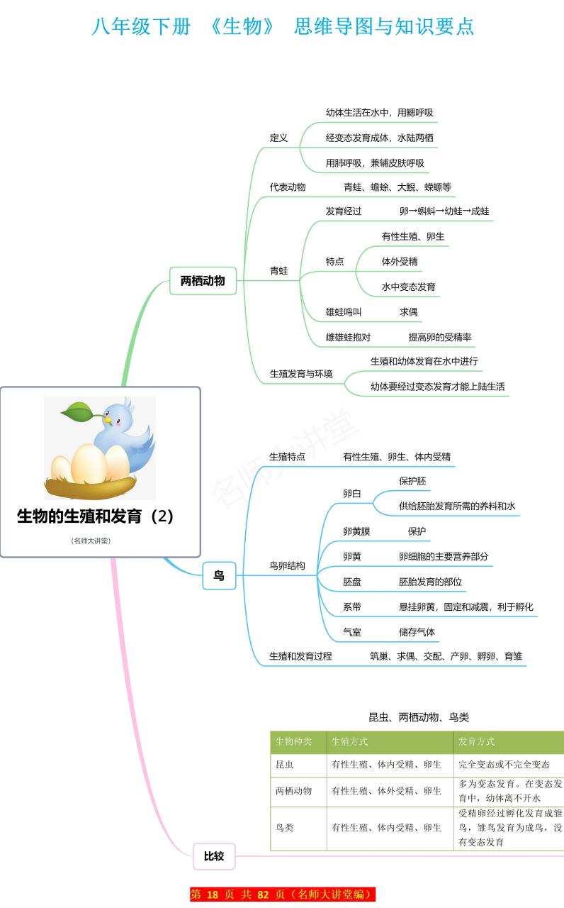 动物器官思维导图图片