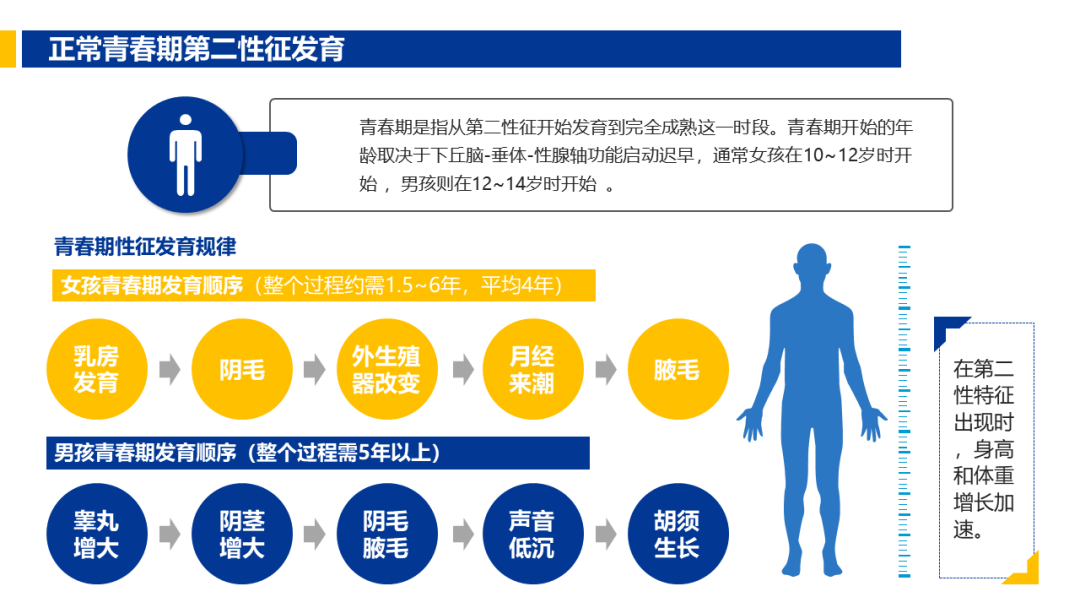 男孩在青春期的发育顺序通常会经历以下阶段   1