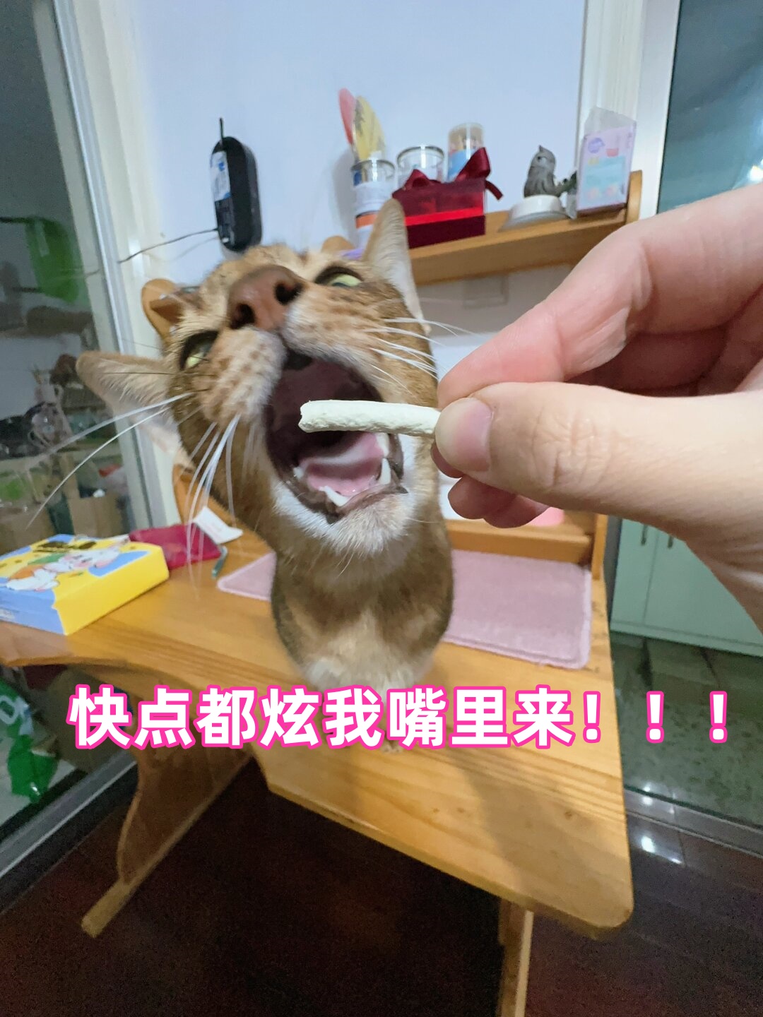 快点都炫我嘴里来!