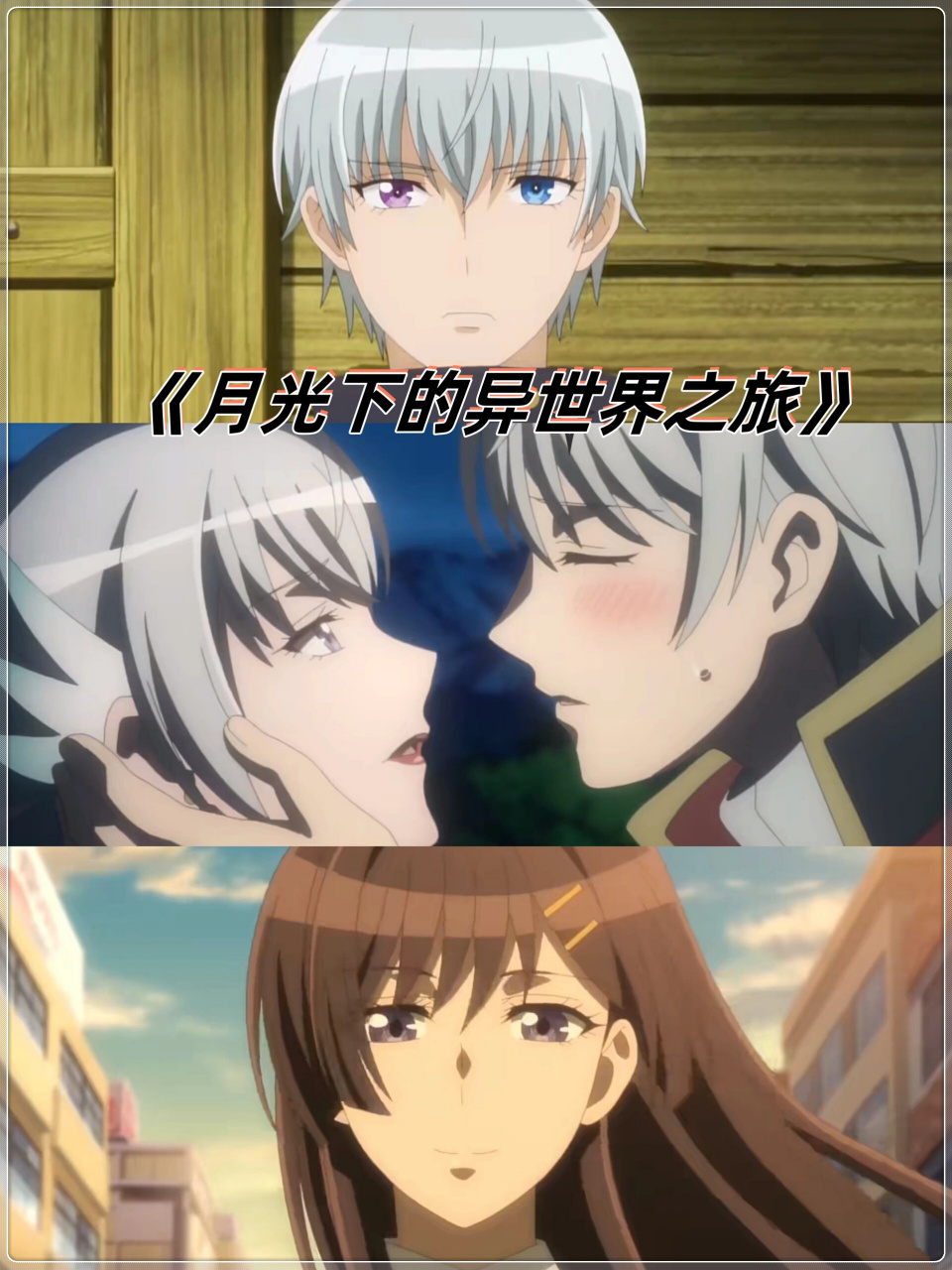 🎬《月光下的异世界之旅》 · 🌸啊啊啊!又一部异世界番咯!
