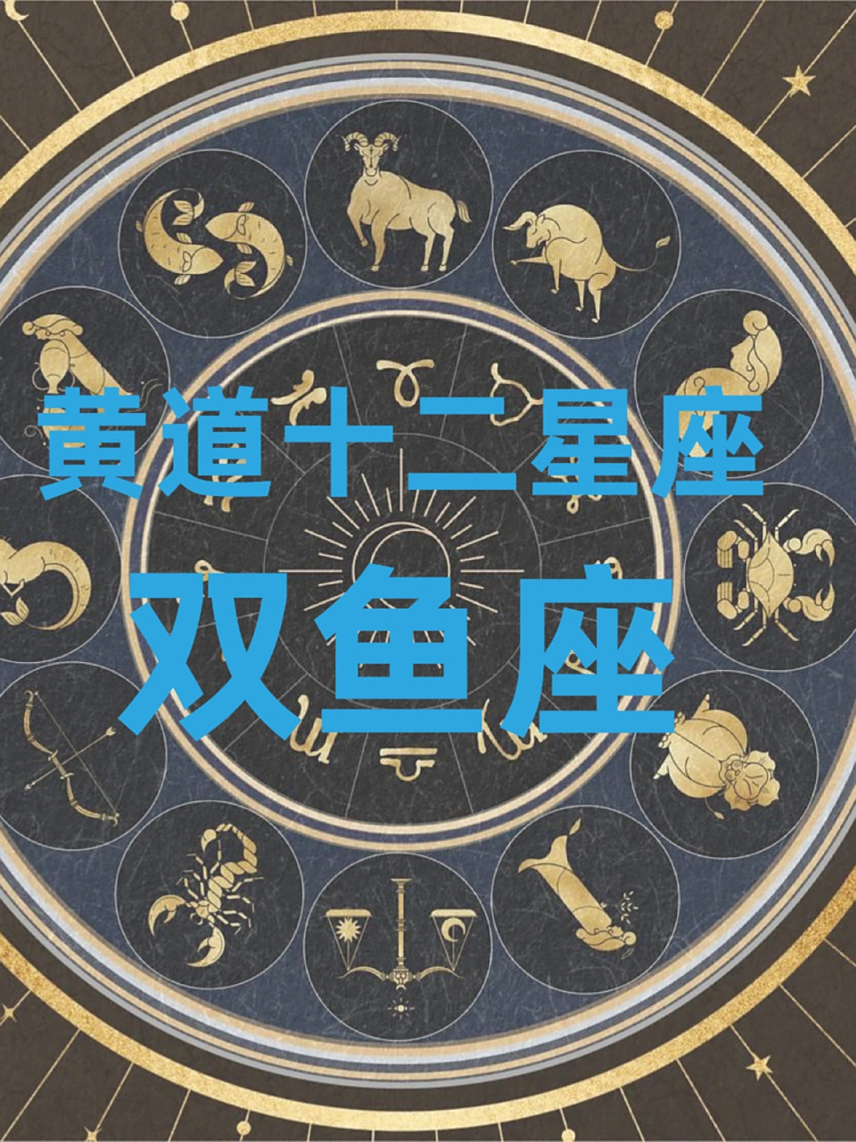 今天,让我们一同启航穿越浩瀚星河,去体验和领悟