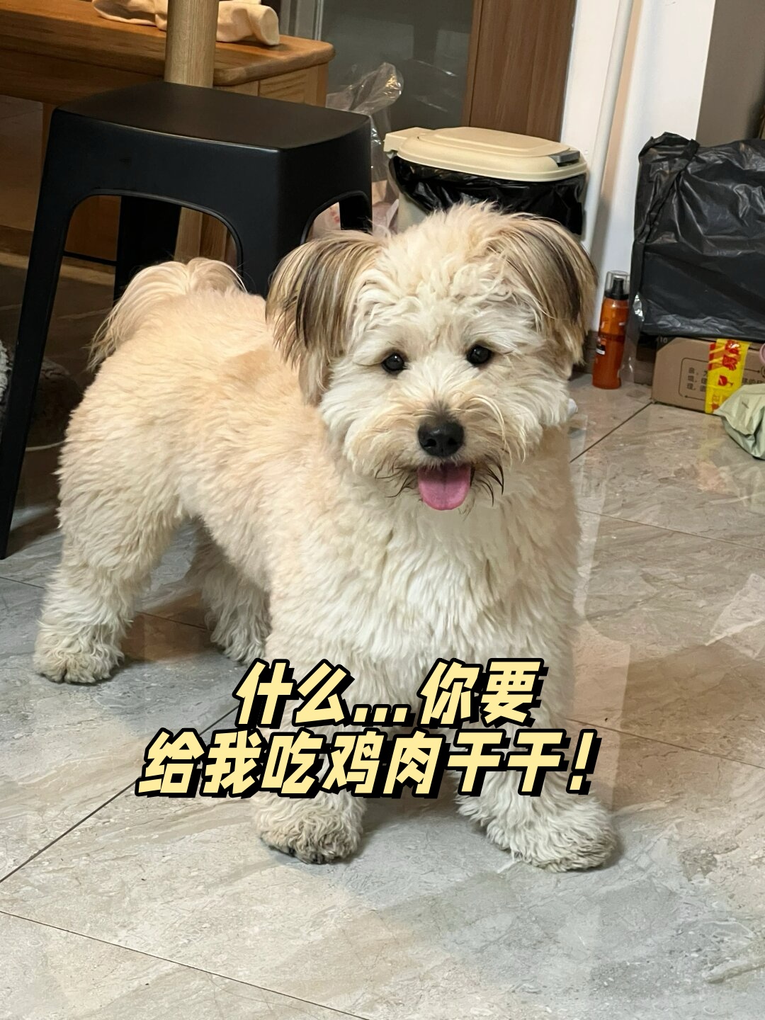 什么…你要给我吃鸡肉干干!