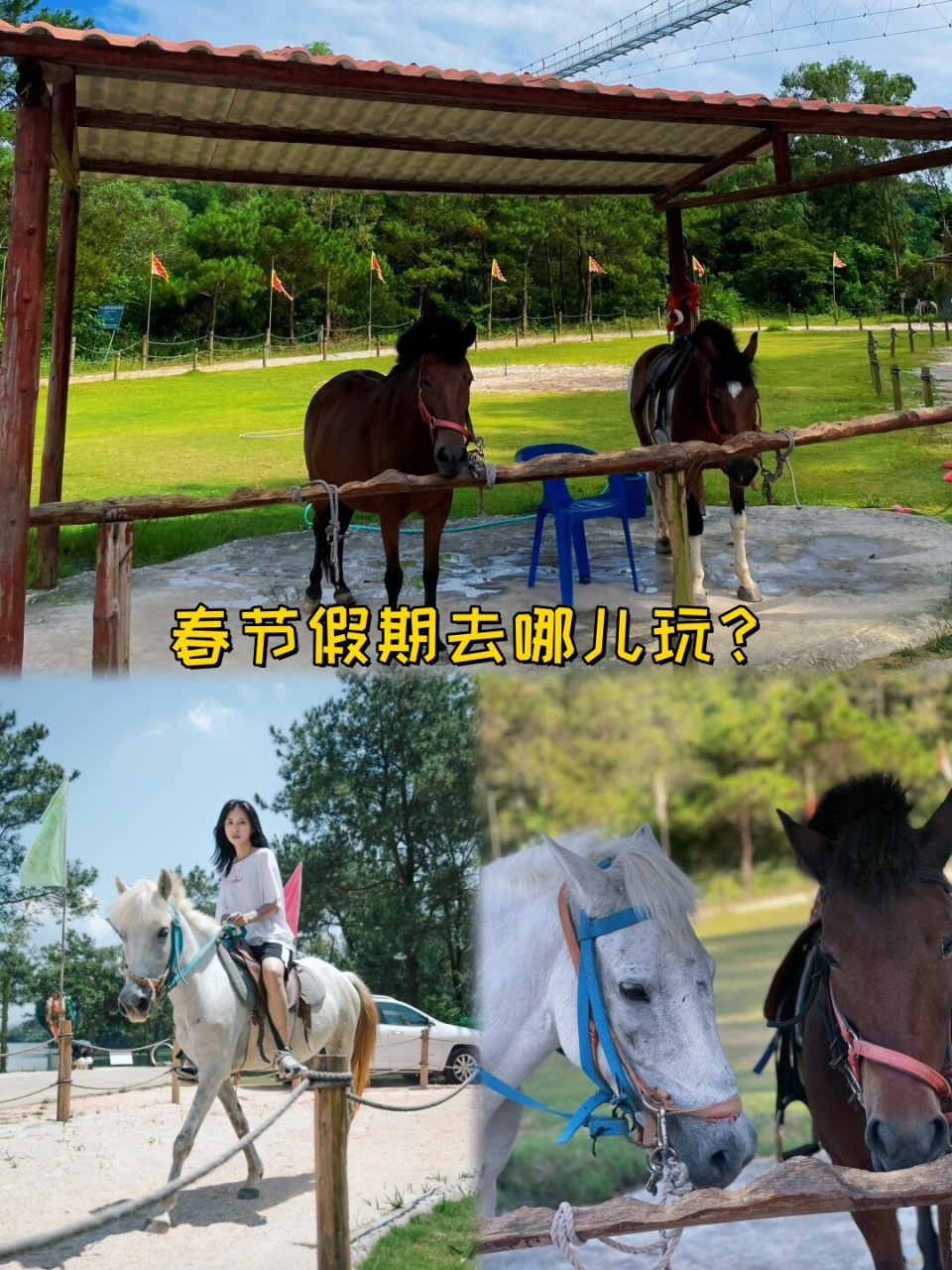 春节假期去哪玩(春节假期去哪玩 车程不超过两个小时)