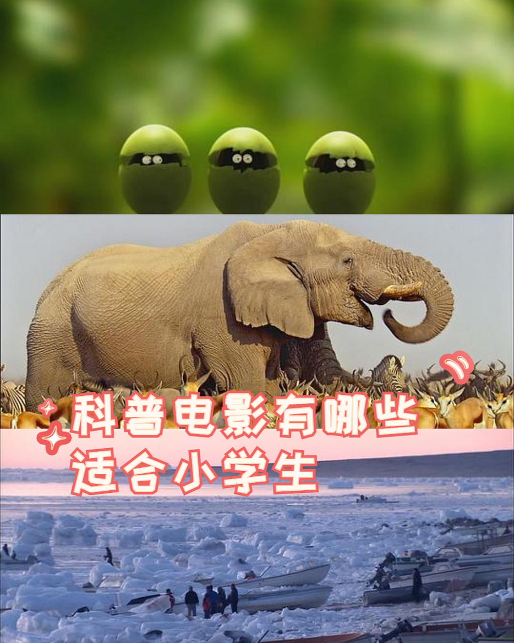 小学生科普电影大全图片