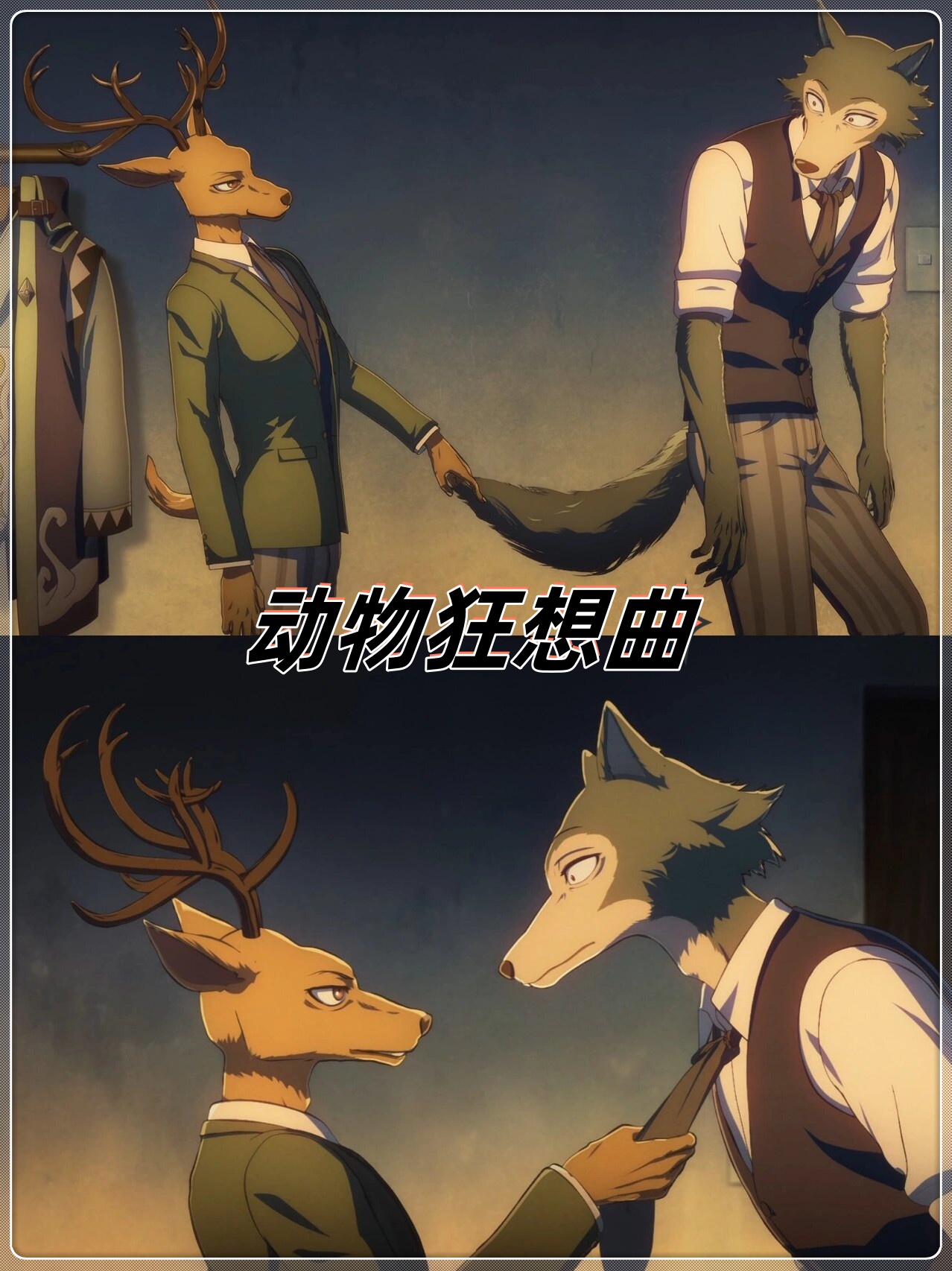 狼爱上兔子是食欲还是爱情