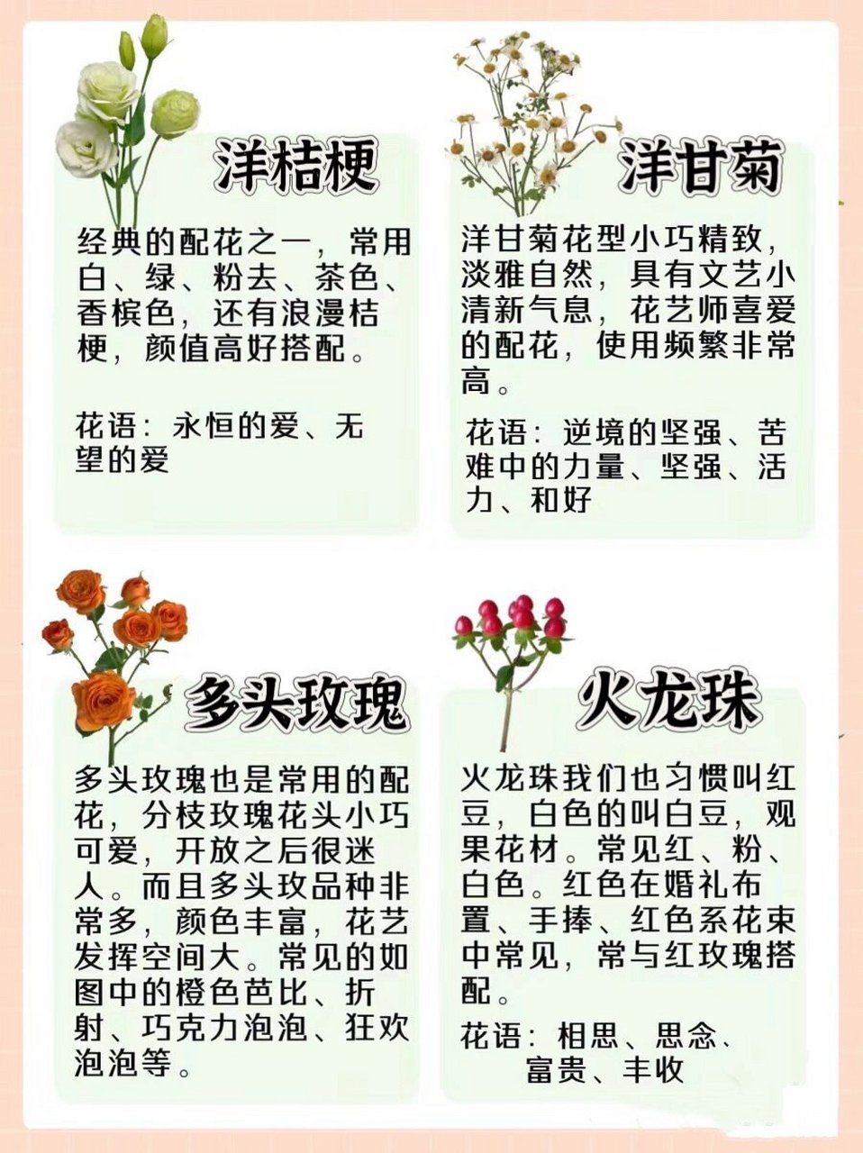 花花花店 | 常用配花  花店中常用的配花有很多种,以下是一些常见的