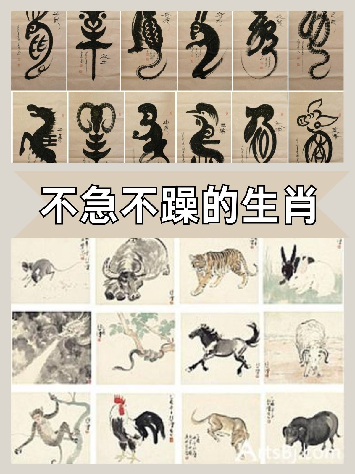 急字代表什么生肖