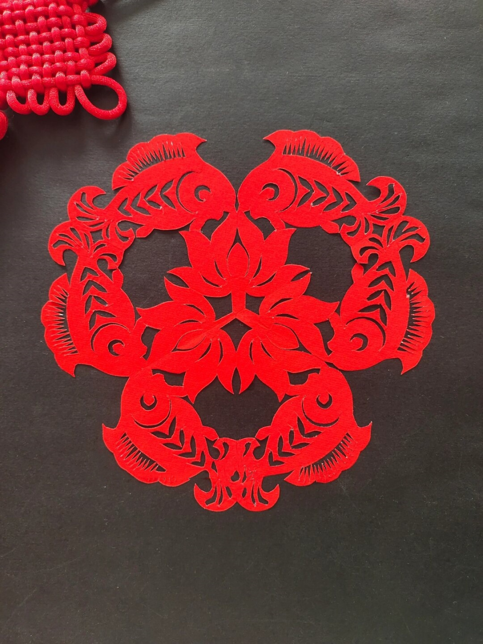 每日一剪|鱼戏莲