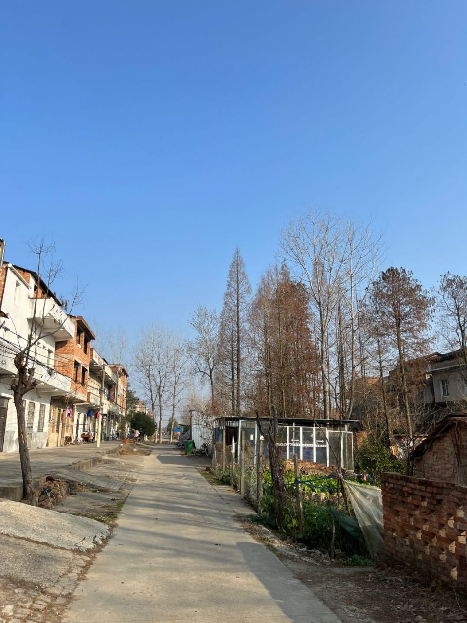 味初体验:归家热潮已起,麻将桌前暖人心的冬日乡情   眼瞅着年关将近