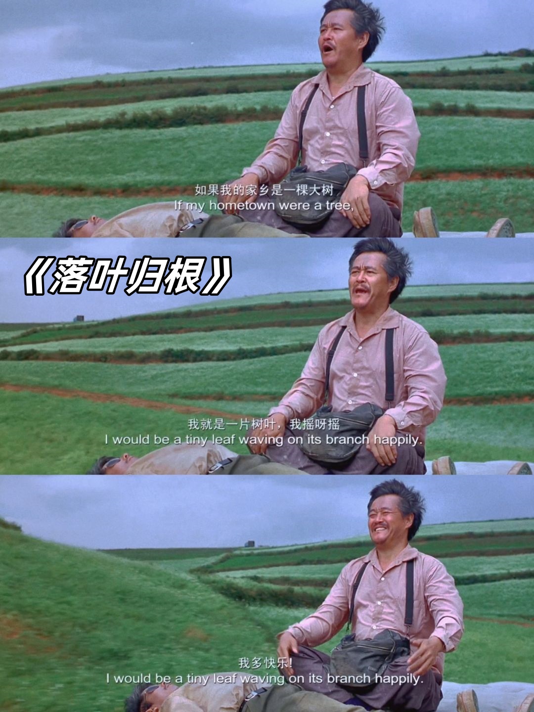 我多快乐赵本山 落叶归根赵本山落叶归根我真快乐台词落叶归根剧照