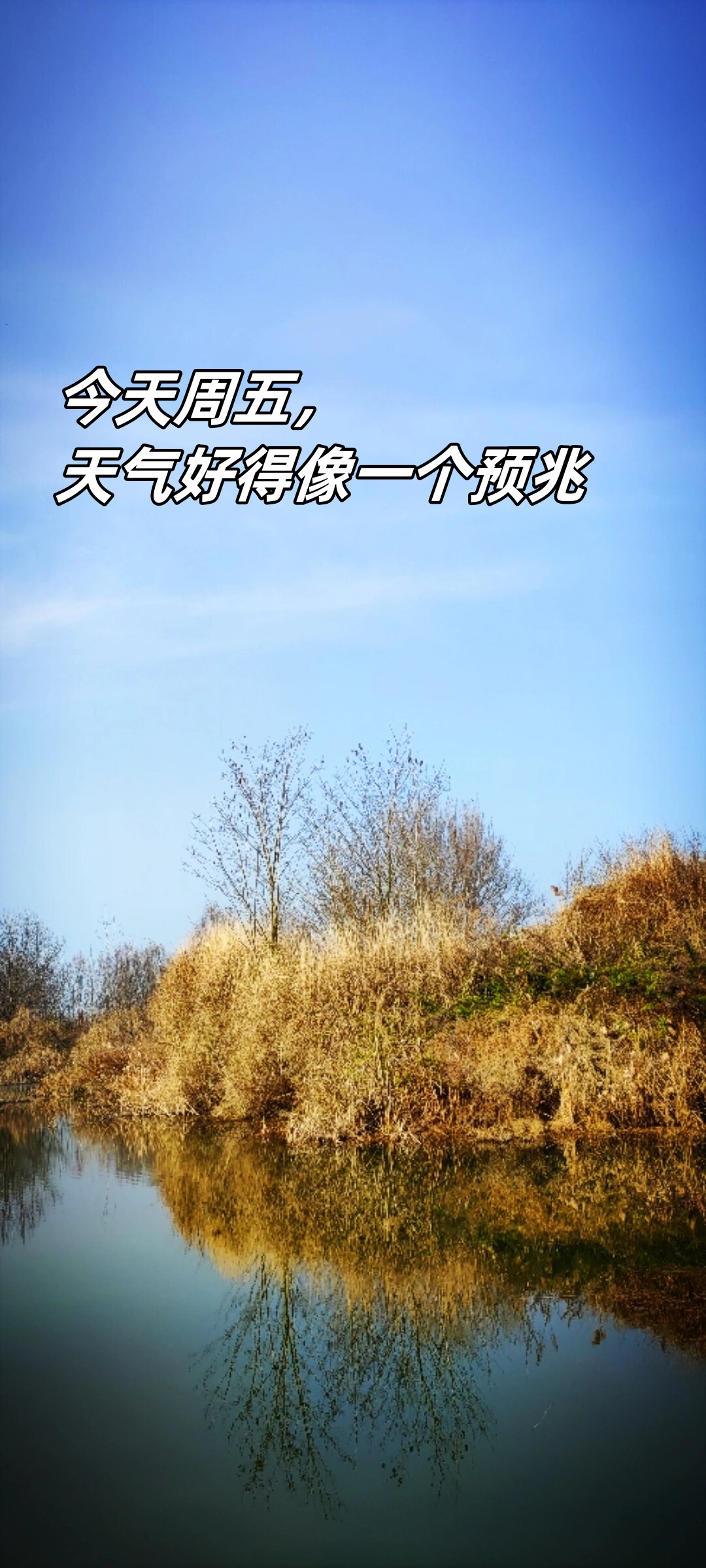 今天周五,天气好得像一个预兆