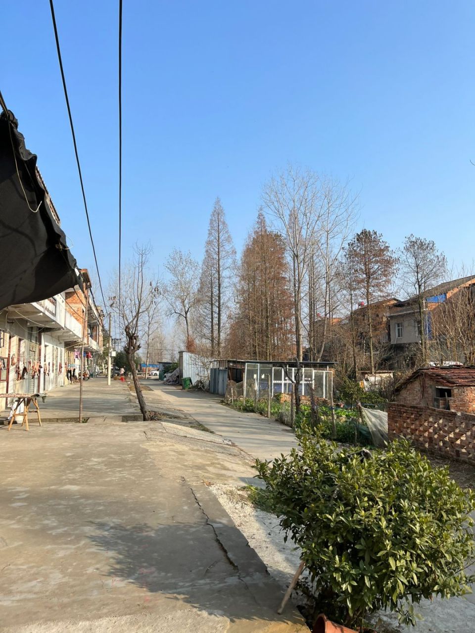 味初体验:归家热潮已起,麻将桌前暖人心的冬日乡情   眼瞅着年关将近