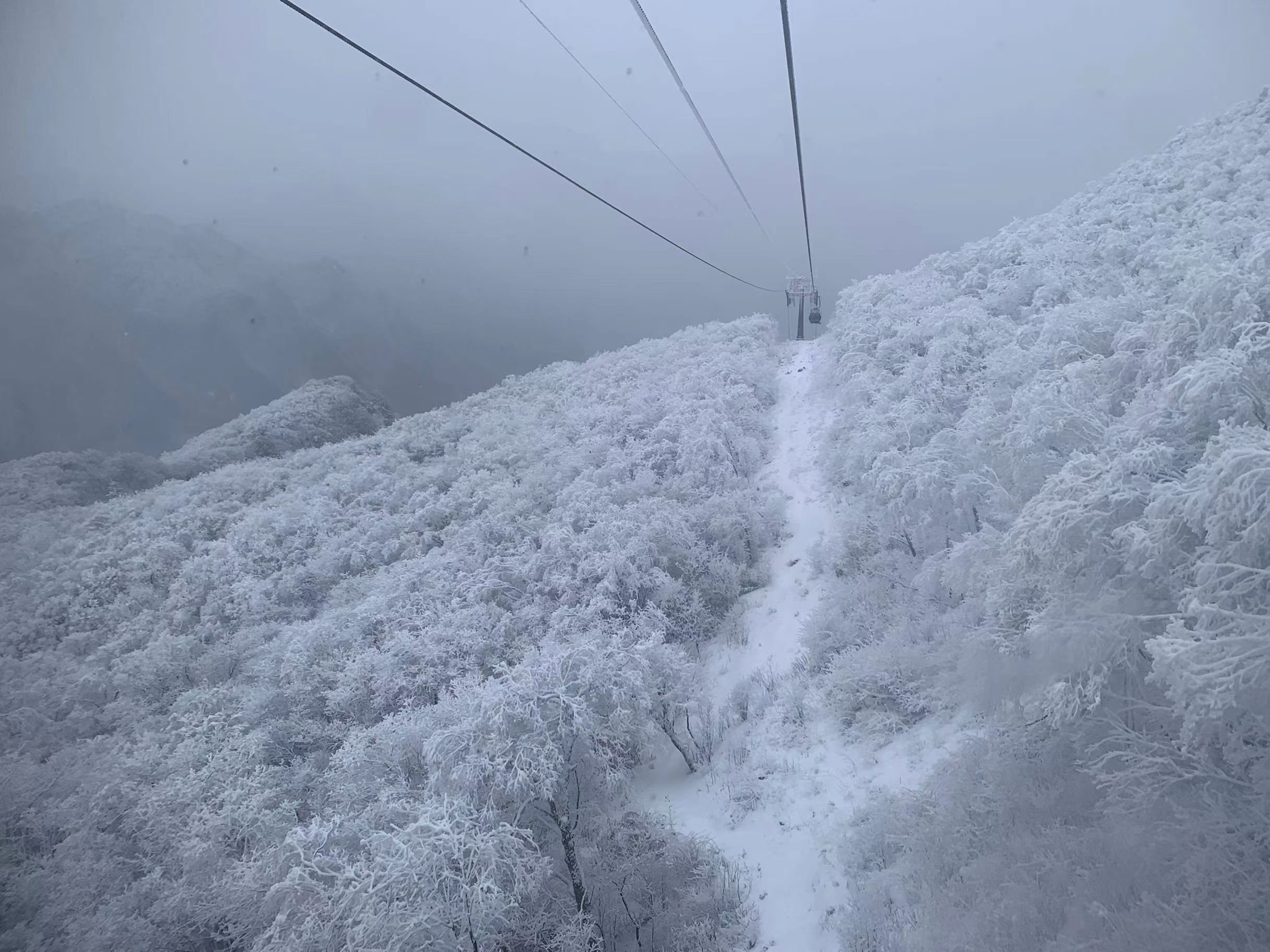 光雾山雪景图片图片