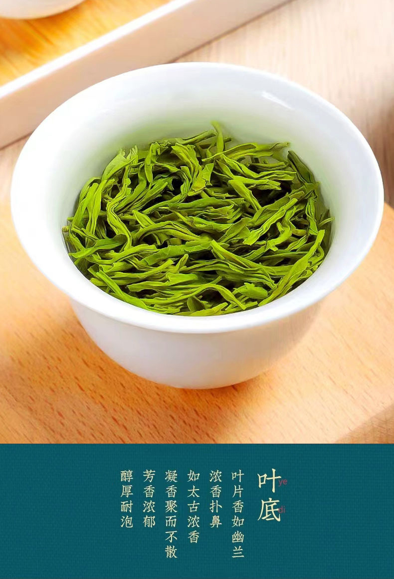 日照云雾绿茶图片