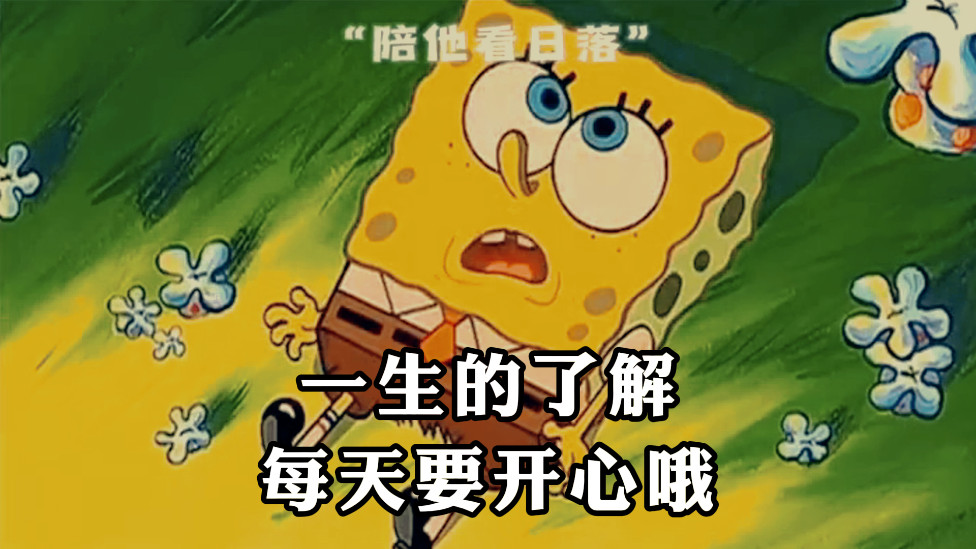 《海绵宝宝》,一生的了解,每天要开心哦