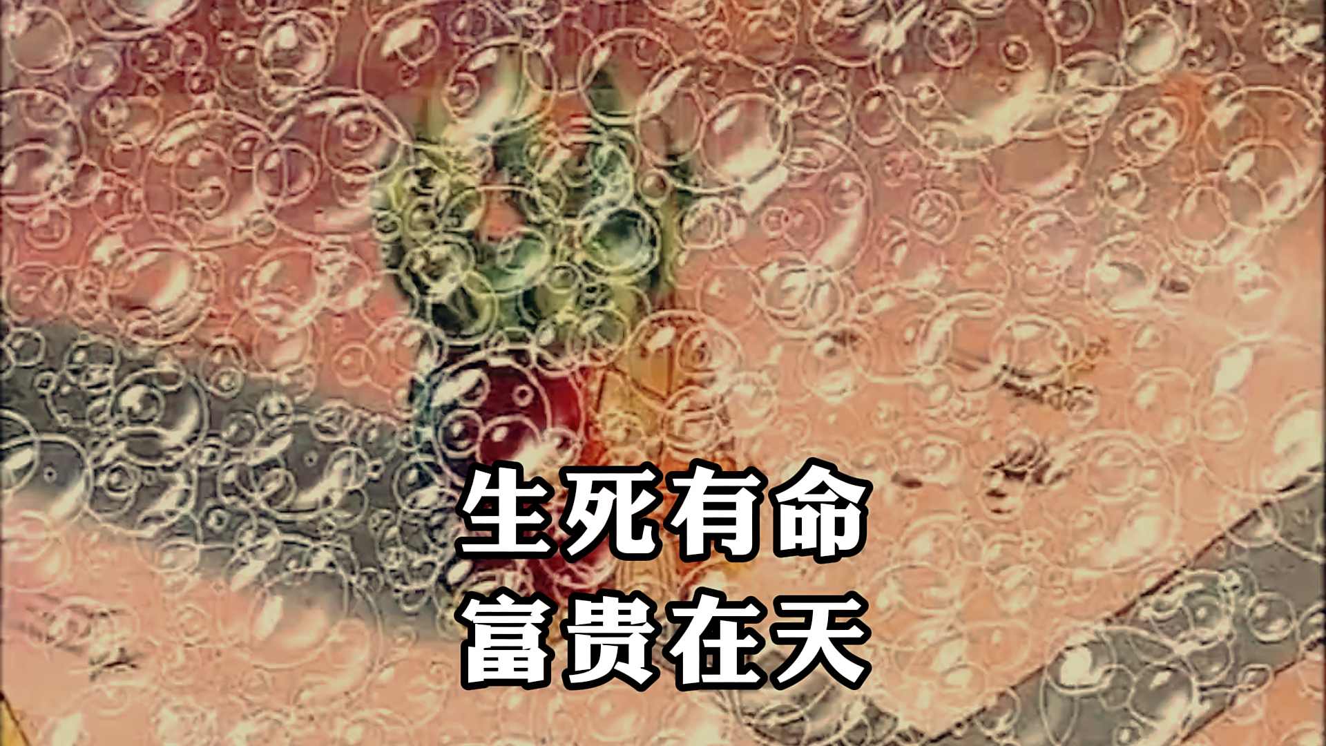 《海绵宝宝》,生死有命,富贵在天