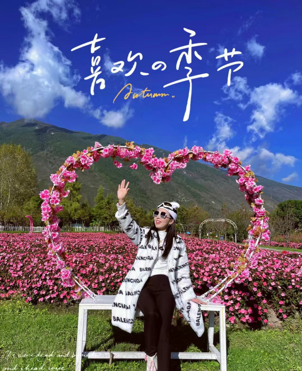 云南·大理花海 景点:大理网红花海 地址:云南省大理白族自治州