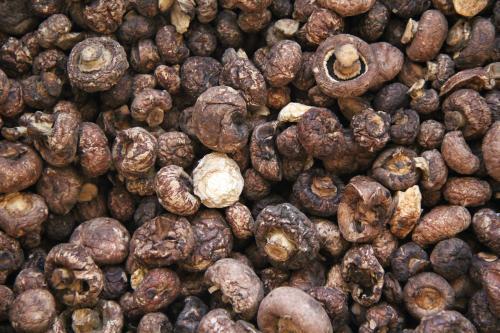 口蘑被誉为"素中之荤",你吃过吗