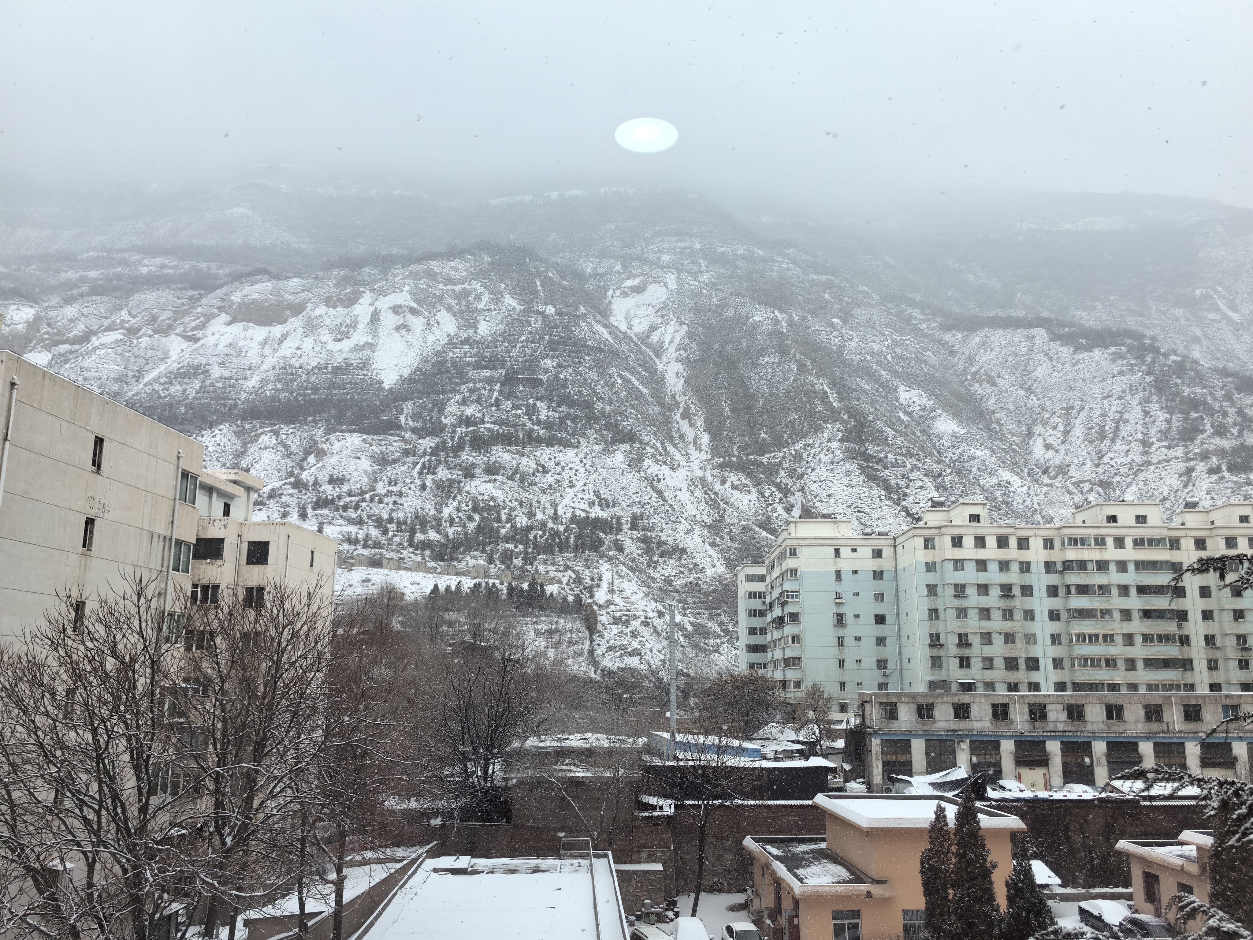 兰州下雪图片真实图片