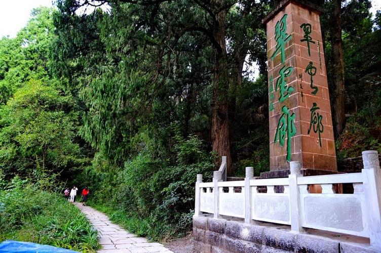 四川景点:广元翠云廊