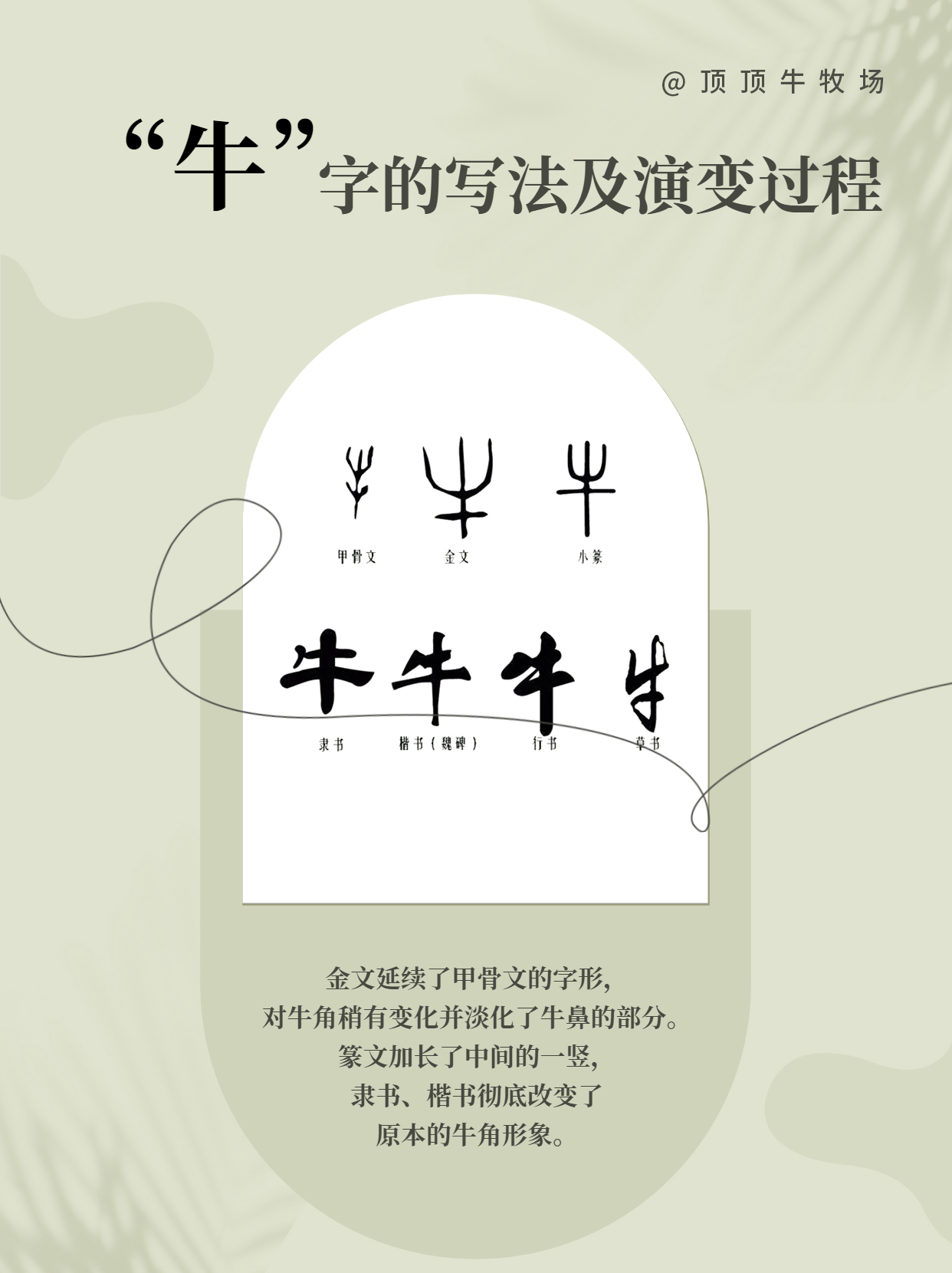 古文字中"牛"字的写法及演变过程