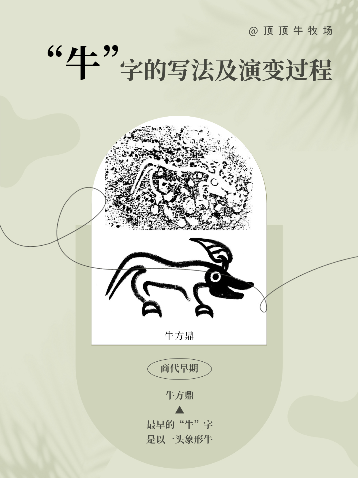 古文字中"牛"字的写法及演变过程