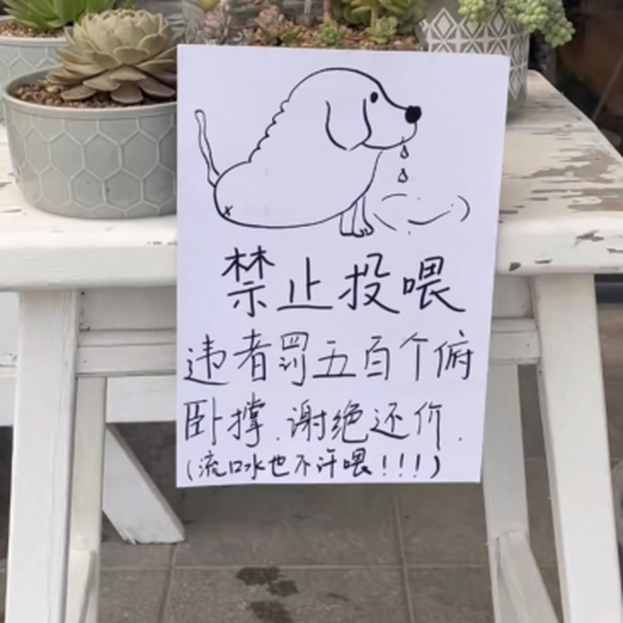 被迫营业已经够惨了,还要被压榨 投 ,这可真是让人哭笑不得啊!