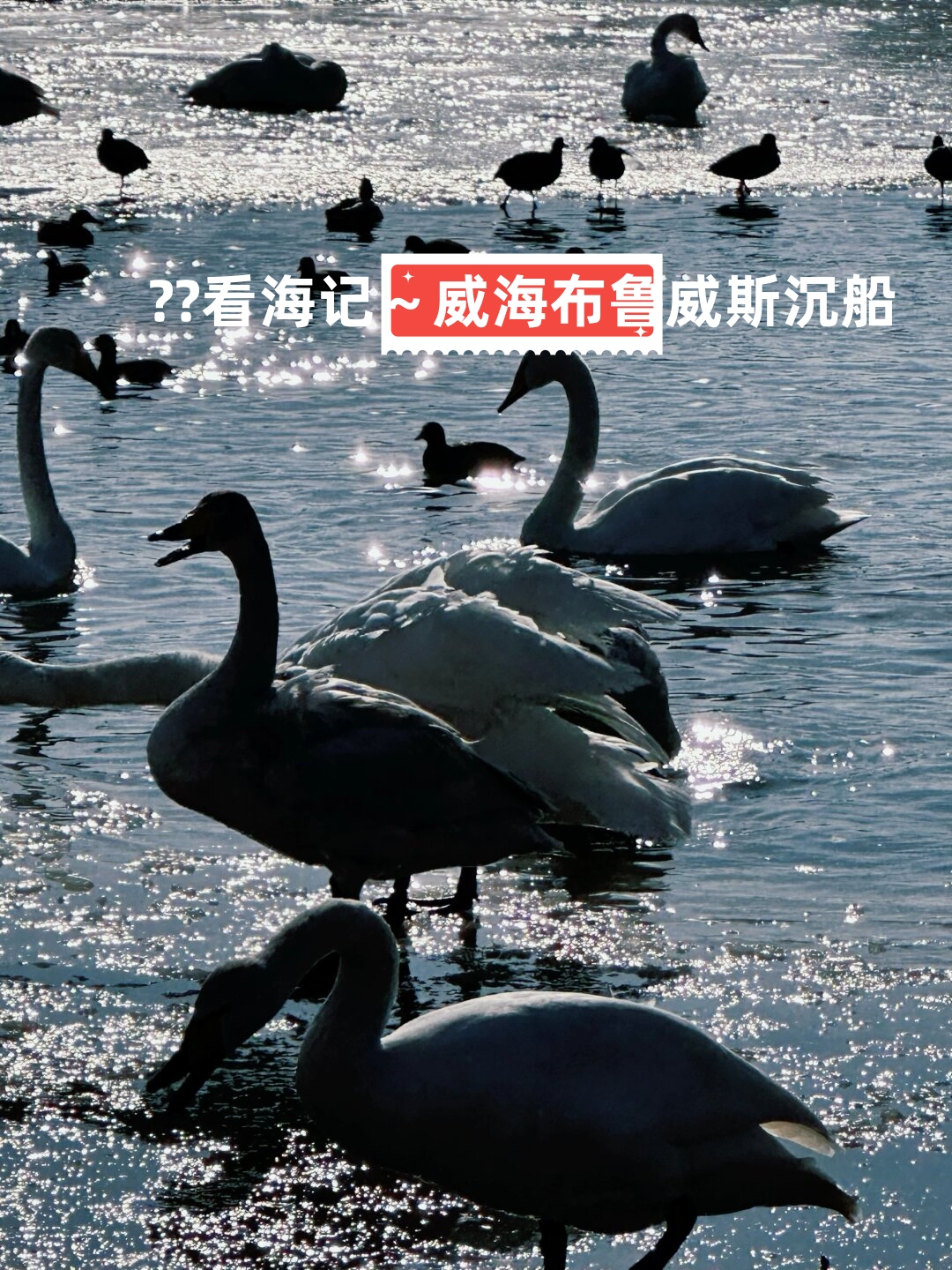 站在沉船边感受着海风的拂面听着海浪的轻唱仿佛能够与大自然对话